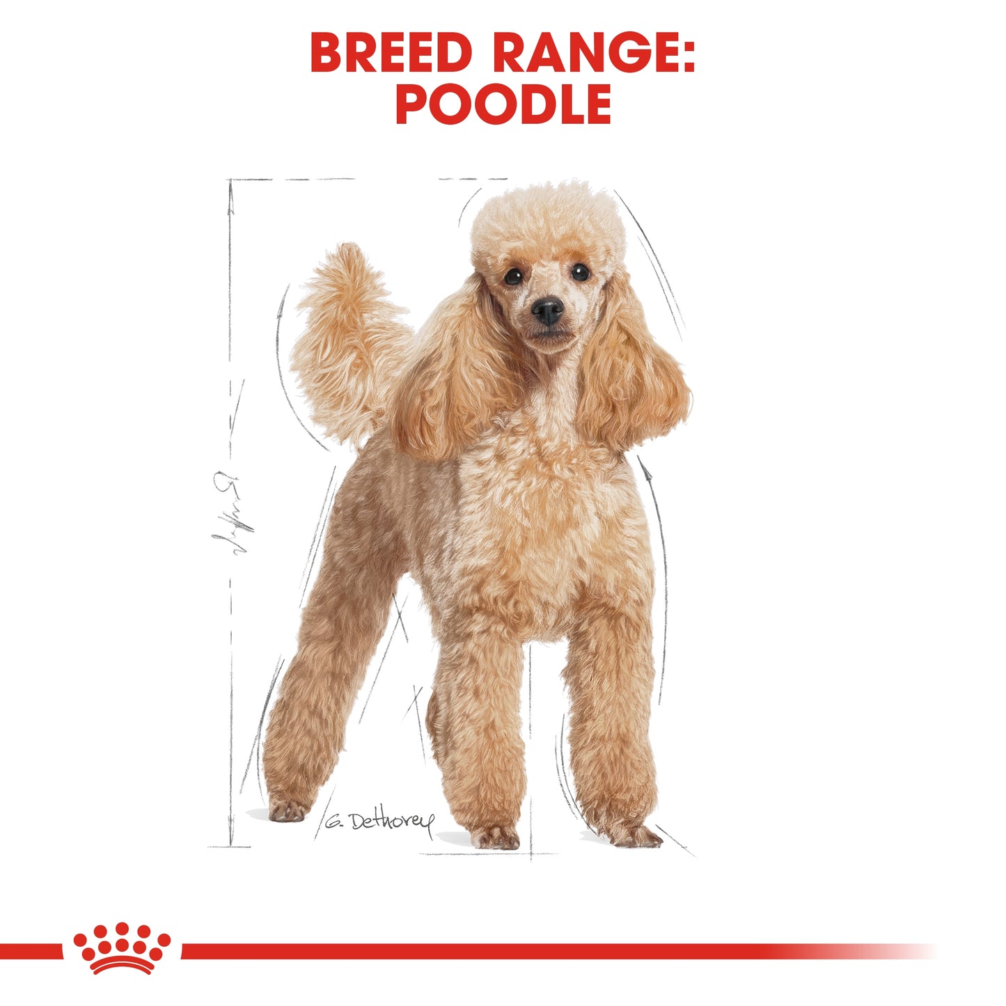 Royal Canin Breed Health Nutrition Poodle Adult Dry food 1.5kg