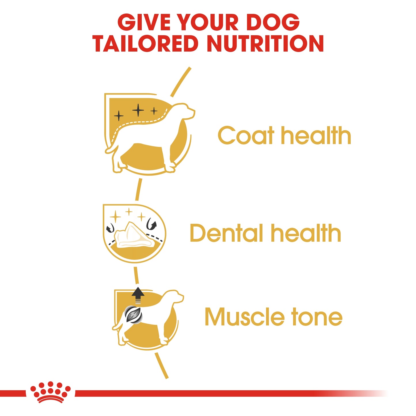 Royal Canin Breed Health Nutrition Poodle Adult Dry food 1.5kg