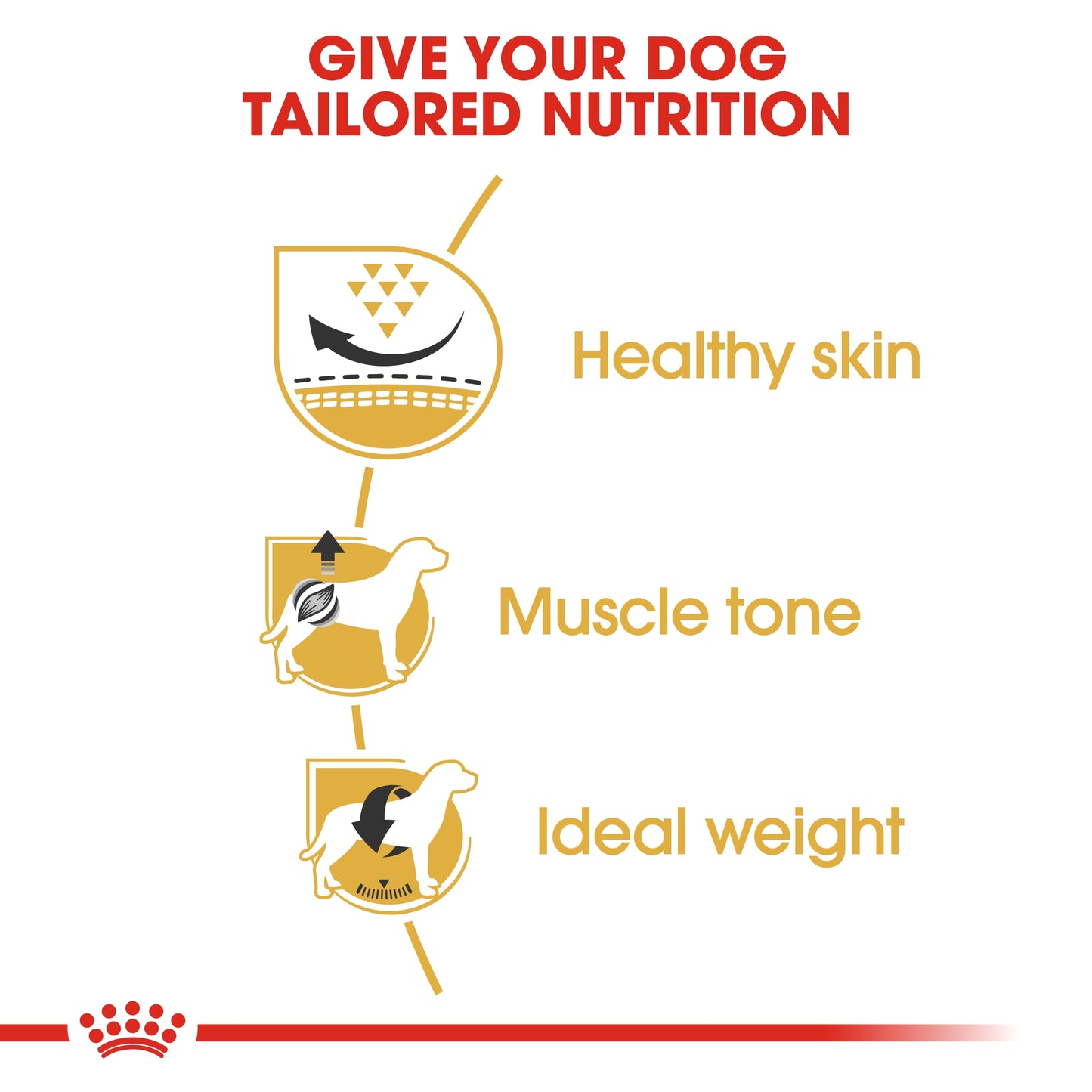 Royal Canin Breed Health Nutrition Pug Adult Dry Food 1.5kg
