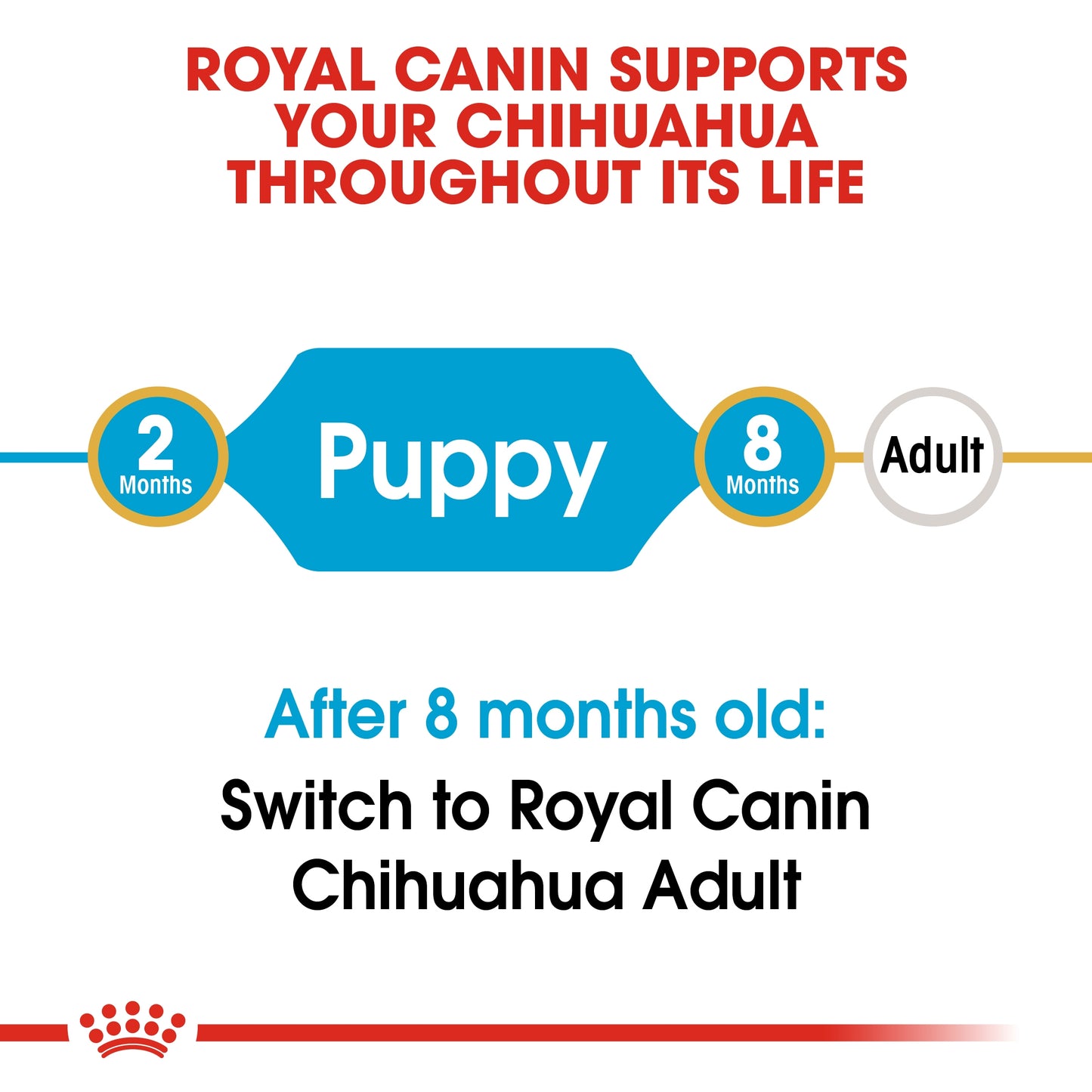 Royal Canin Breed Health Nutrition Chihuahua Puppy Dry food 1.5kg