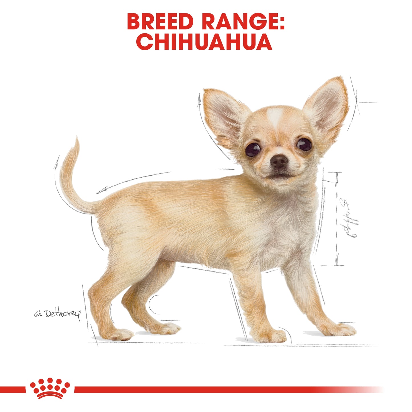 Royal Canin Breed Health Nutrition Chihuahua Puppy Dry food 1.5kg