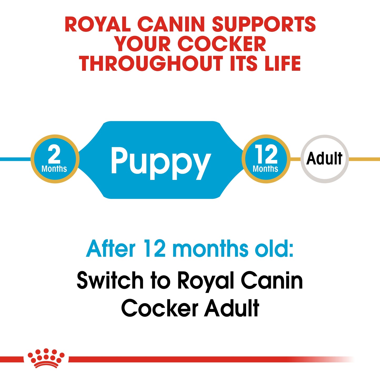 Royal Canin Breed Health Nutrition Cocker Puppy Dry food 3kg