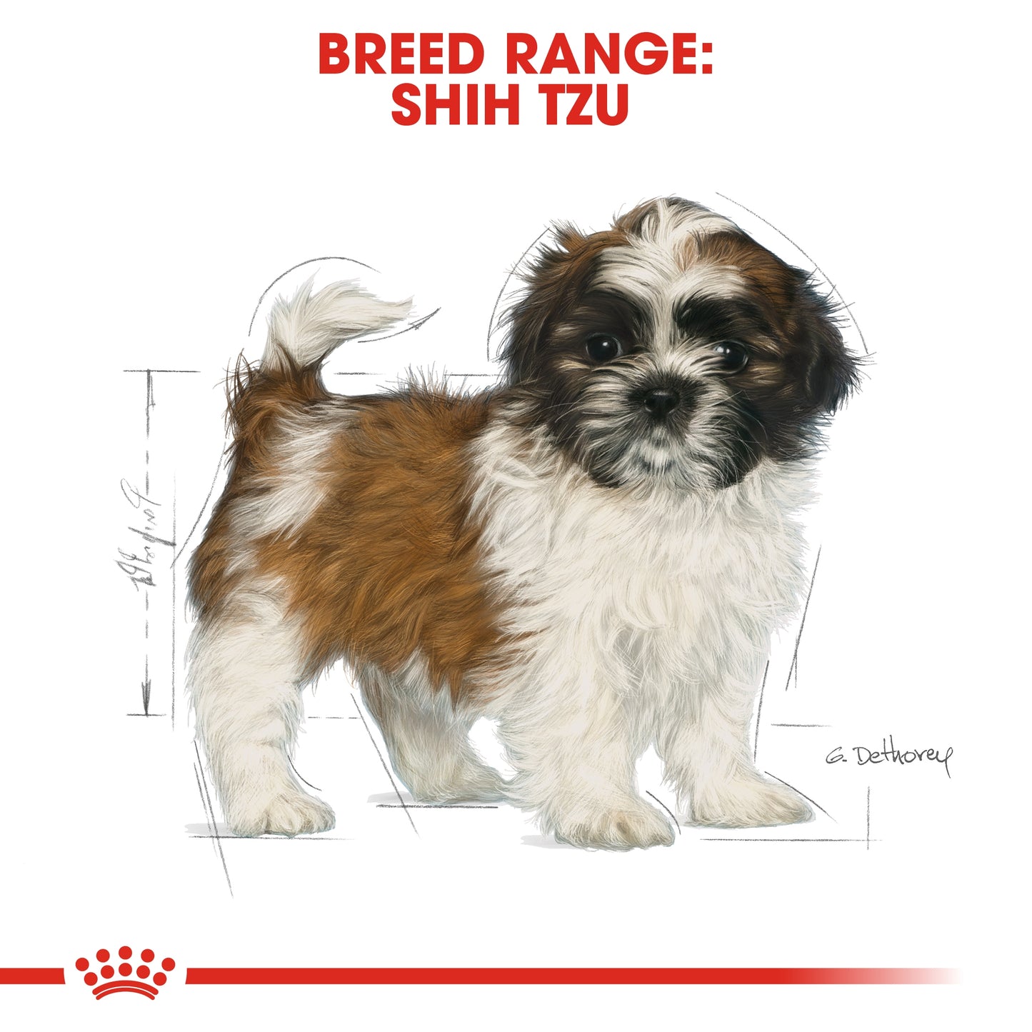 Royal Canin Breed Health Nutrition Shih Tzu Puppy Dry food 1.5kg