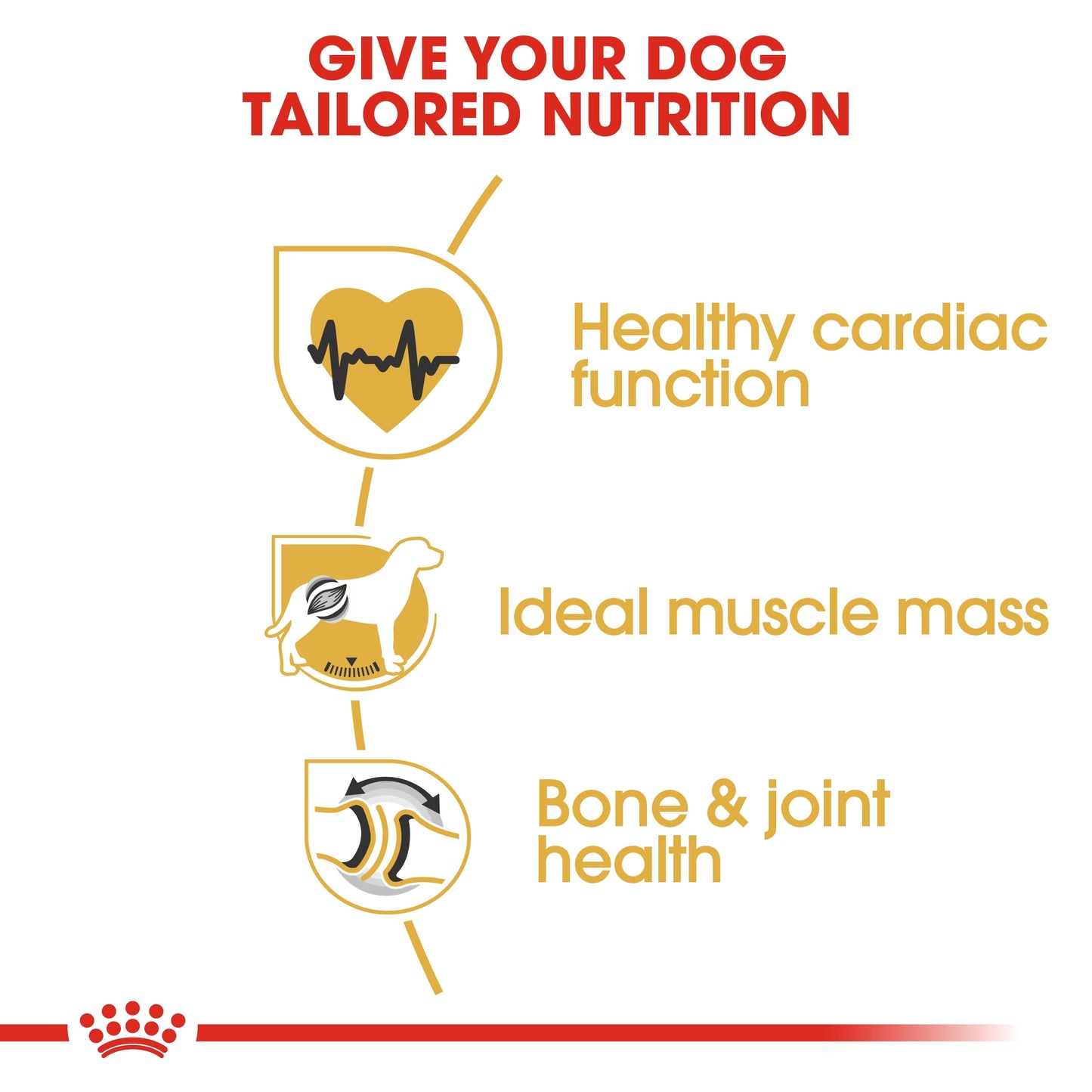 Royal Canin Breed Health Nutrition Rottweiler Adult Dry food 12kg