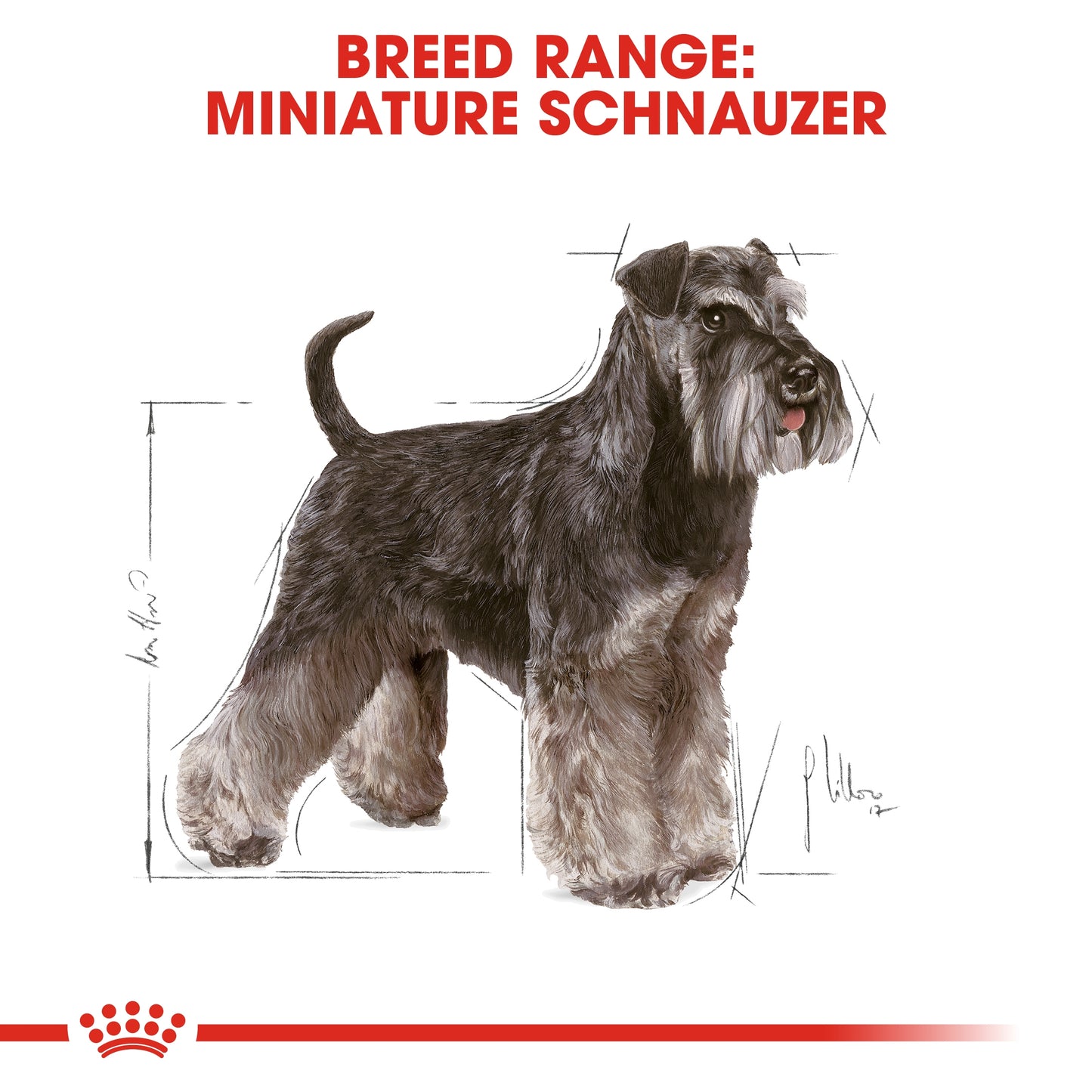 Royal Canin Breed Health Nutrition Miniature Schnauzer Dry food 3kg