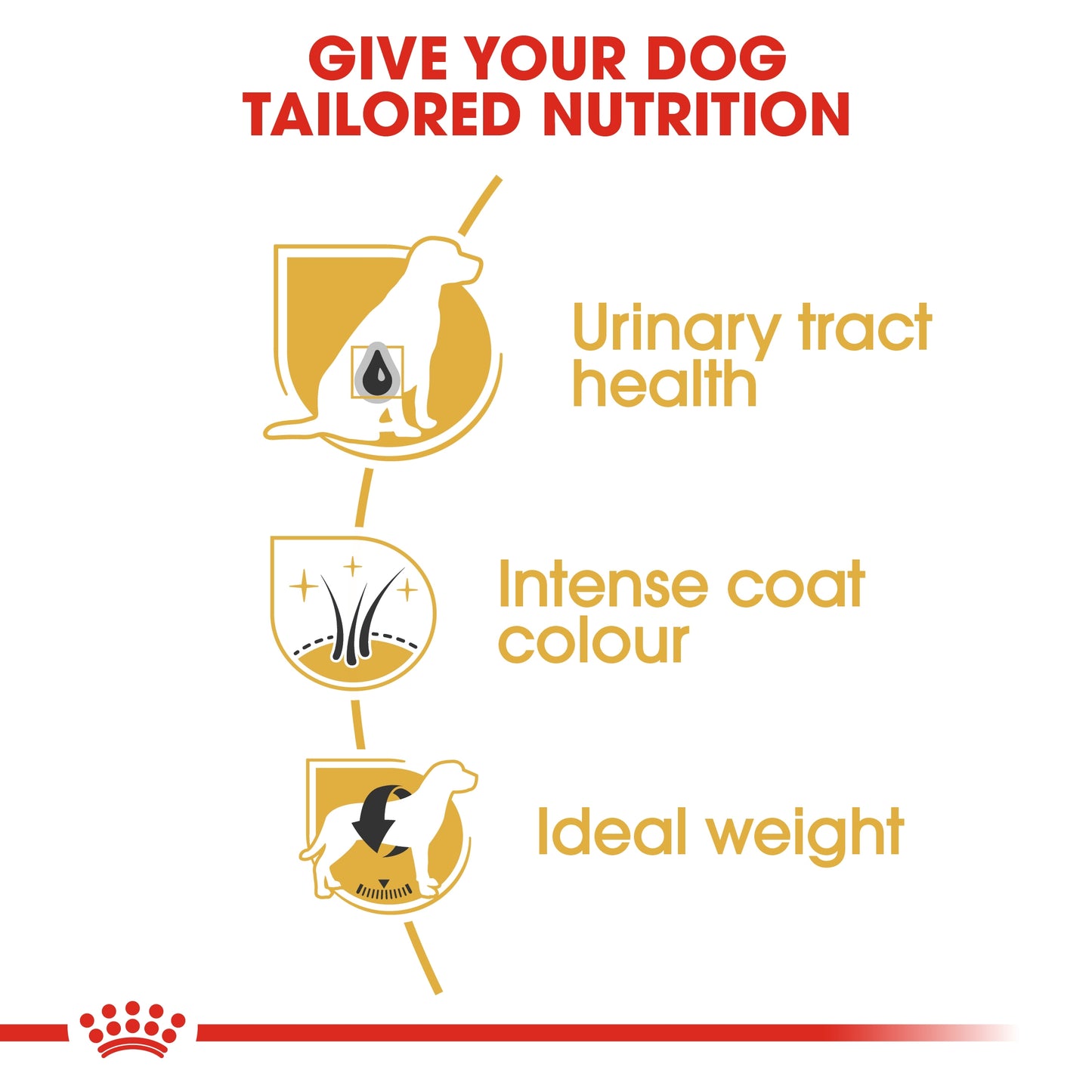 Royal Canin Breed Health Nutrition Miniature Schnauzer Dry food 3kg