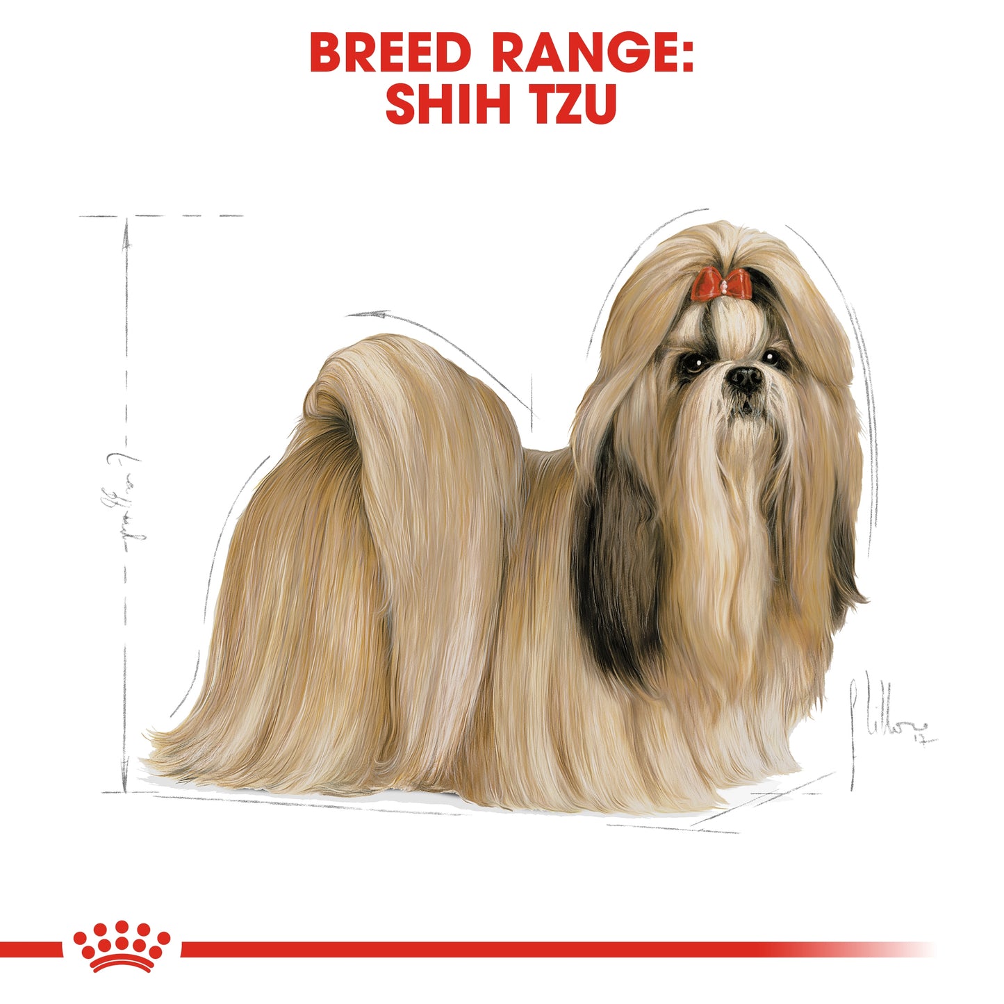 Royal Canin Breed Health Nutrition Shih Tzu Adult Dry food 1.5kg