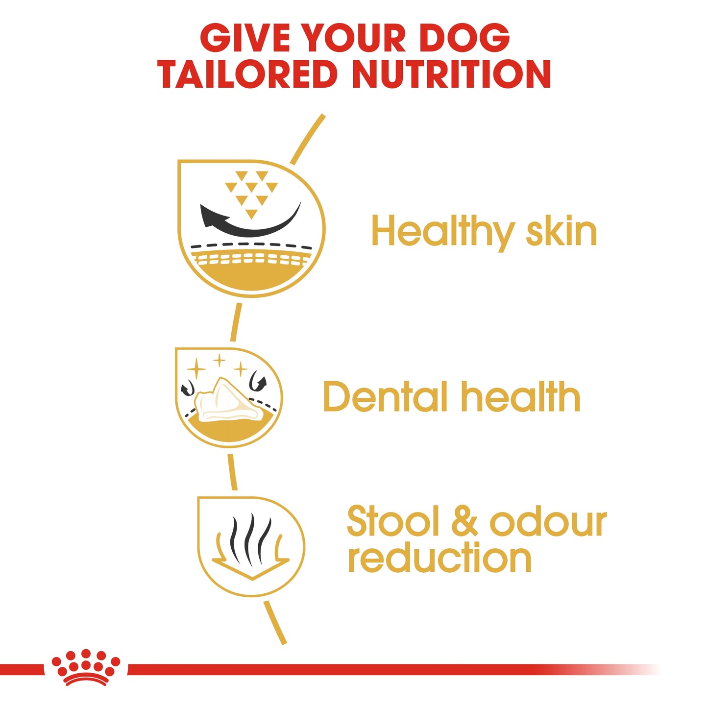 Royal Canin Breed Health Nutrition Shih Tzu Adult Dry food 1.5kg