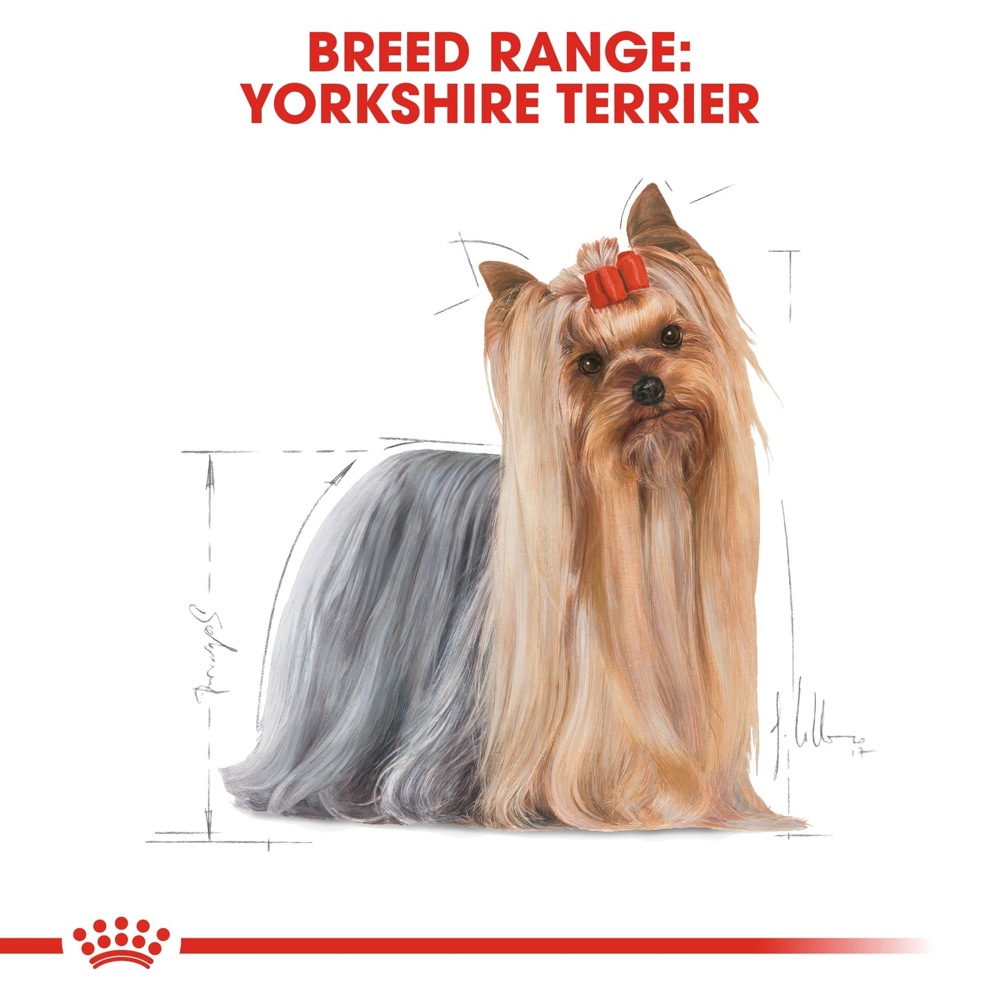 Royal Canin Breed Health Nutrition Yorkshire Terrier Adult Dry food 1.5kg