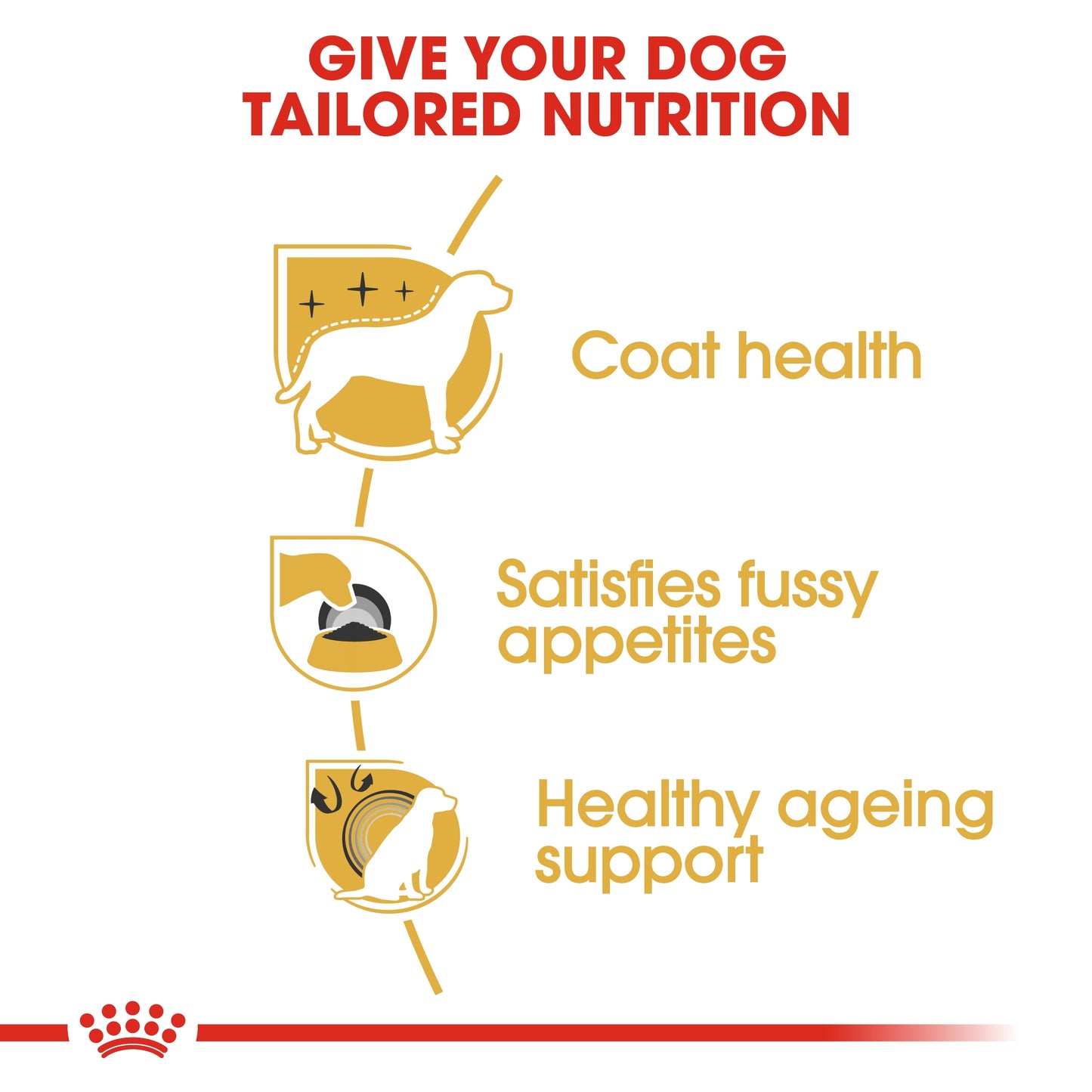 Royal Canin Breed Health Nutrition Yorkshire Terrier Adult Dry food 1.5kg