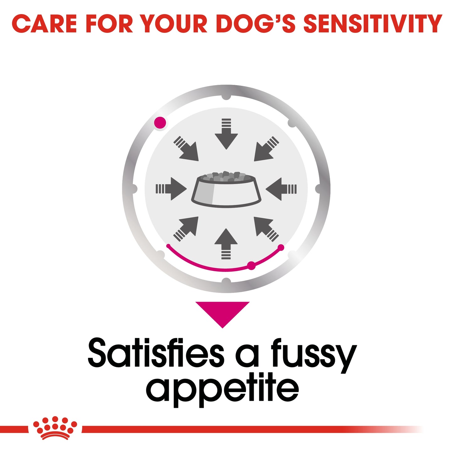 Royal Canin Canine Care Nutrition Exigent Dog Wet Food 85g