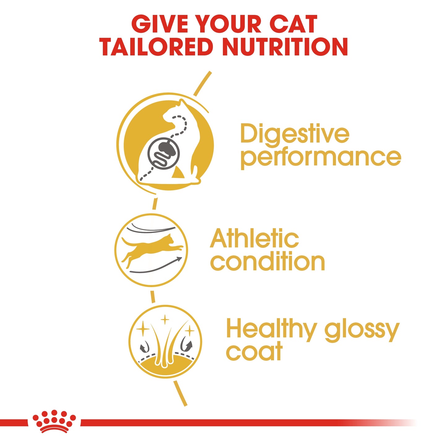 Royal Canin Feline Breed Nutrition Bengal Adult Cat Dry food 2kg
