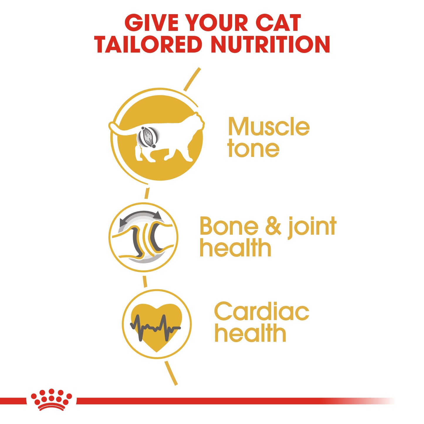 Royal Canin Feline Breed Nutrition British Shorthair Adult Dry food 4kg