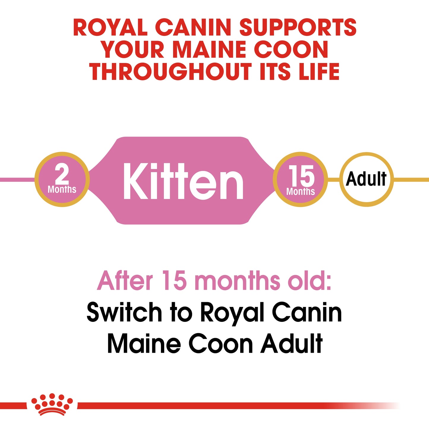 Royal Canin Feline Breed Nutrition Maine Coon Kitten Dry food 2kg