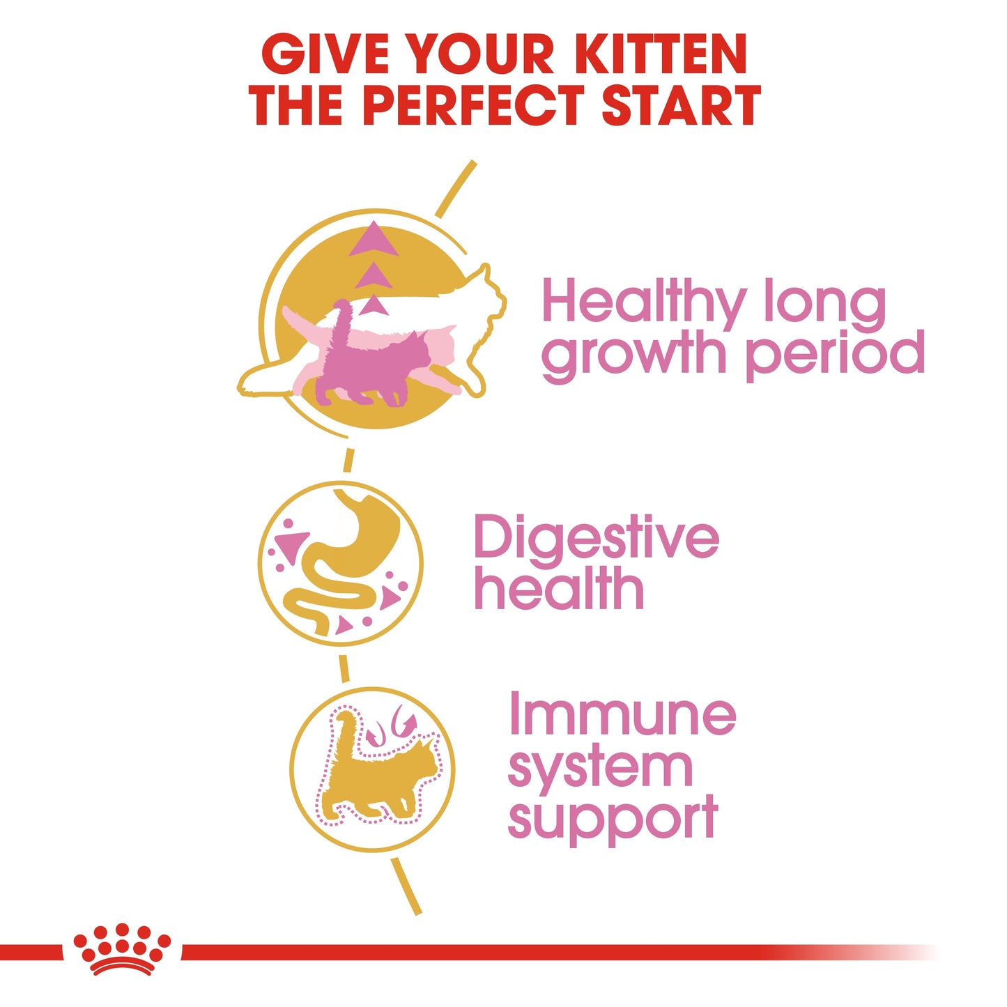 Royal Canin Feline Breed Nutrition Maine Coon Kitten Dry food 2kg