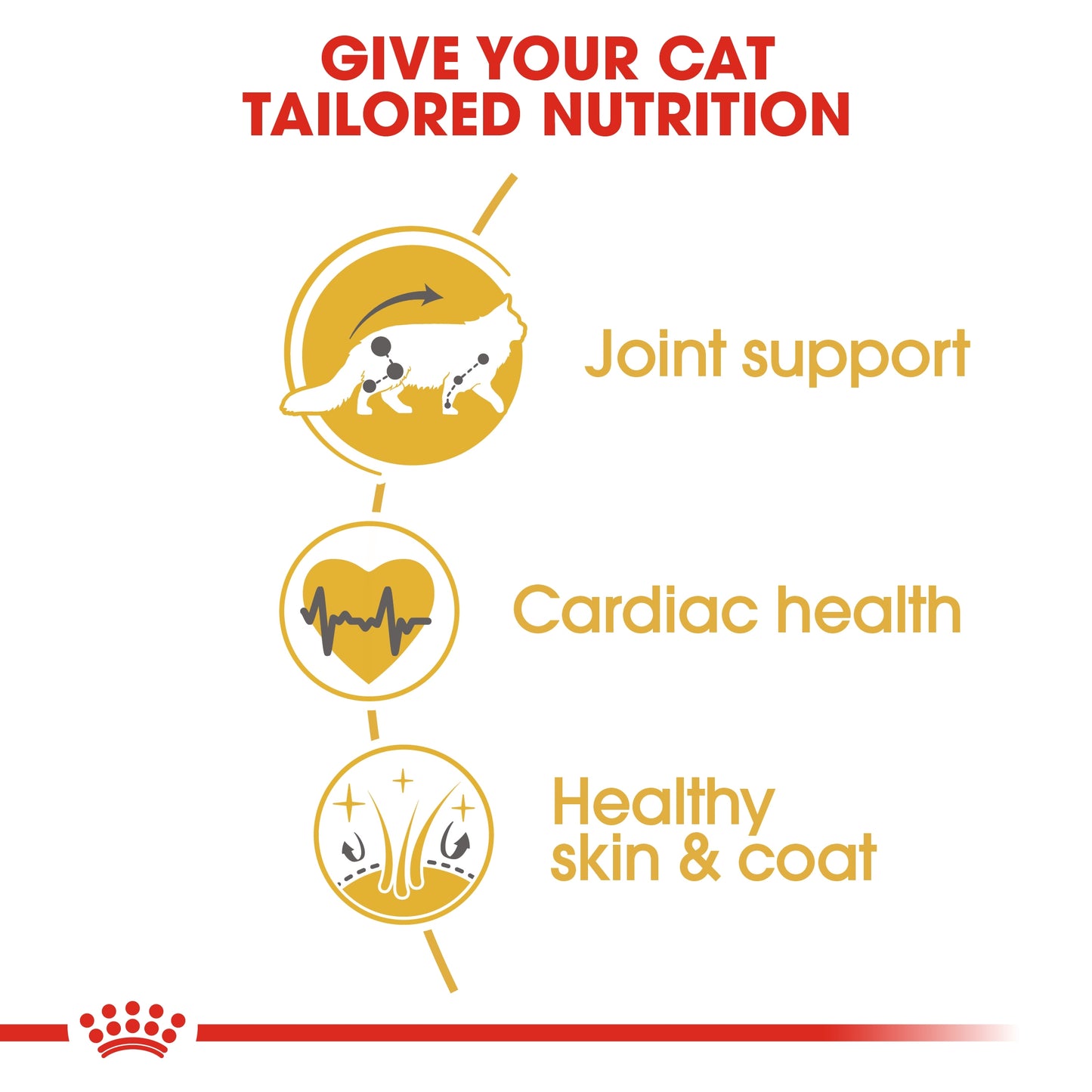 Royal Canin Feline Breed Nutrition Maine Coon Adult Cat Dry food 2kg