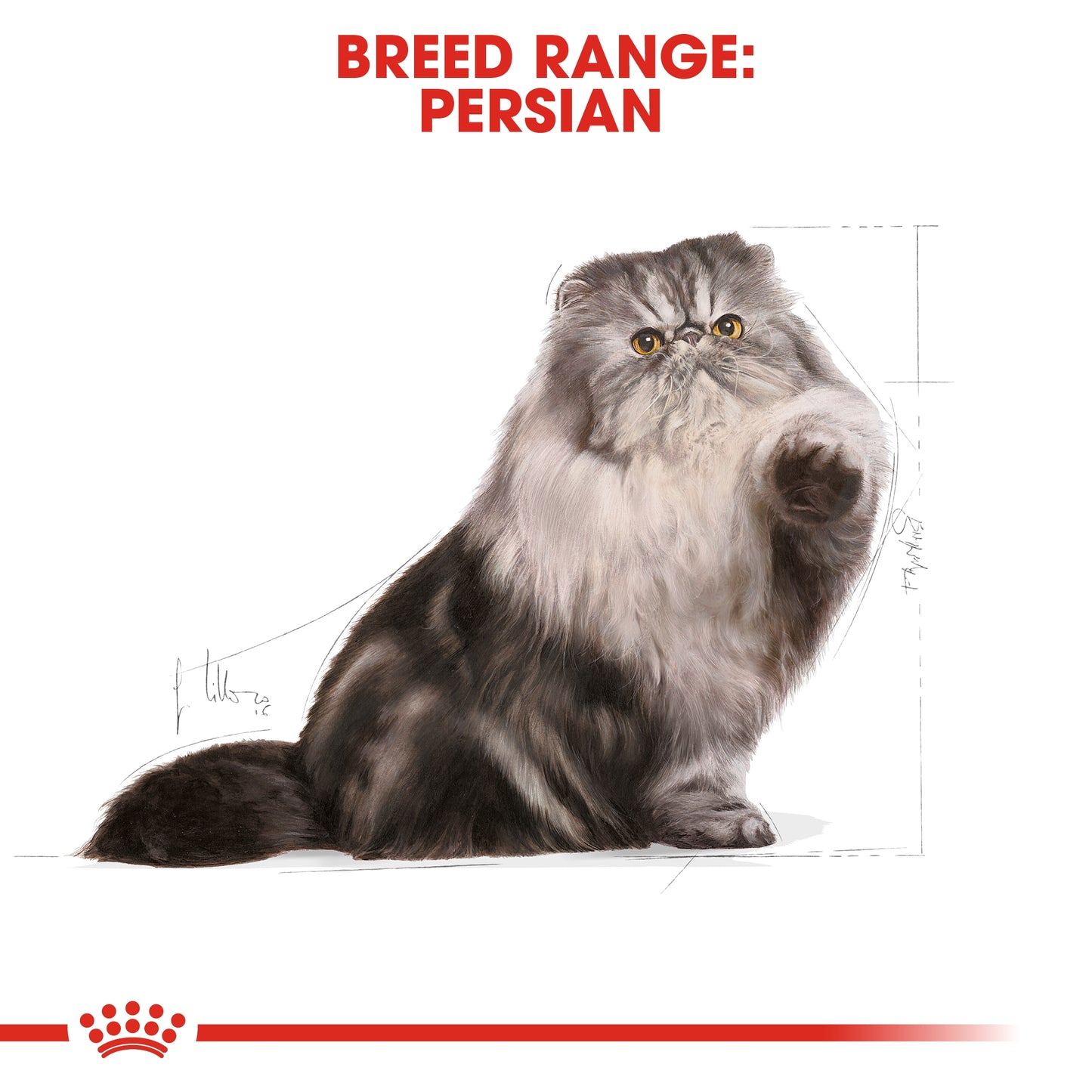 Royal Canin Feline Breed Nutrition Persian Adult Cat Dry food 400g