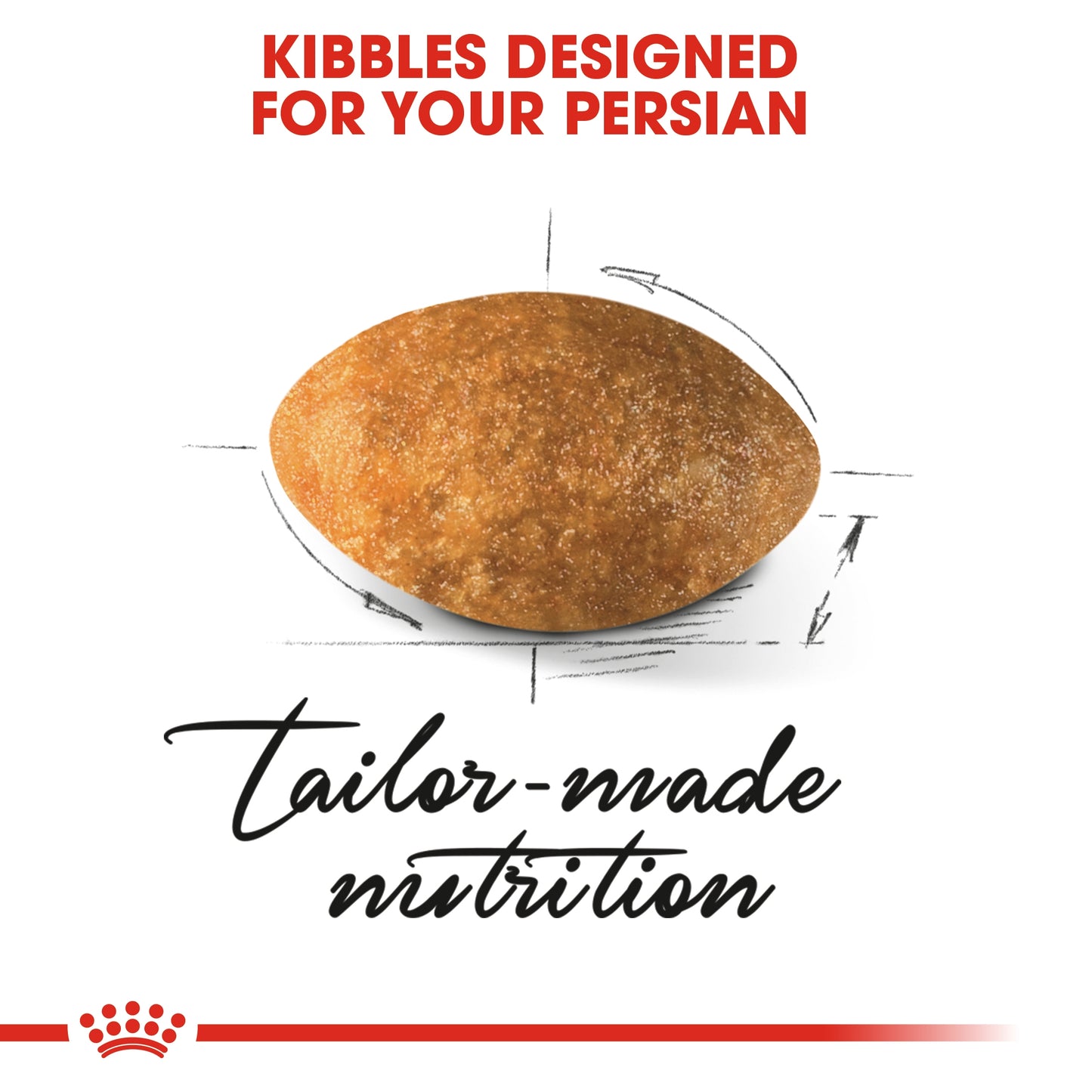 Royal Canin Feline Breed Nutrition Persian Adult Cat Dry food 400g