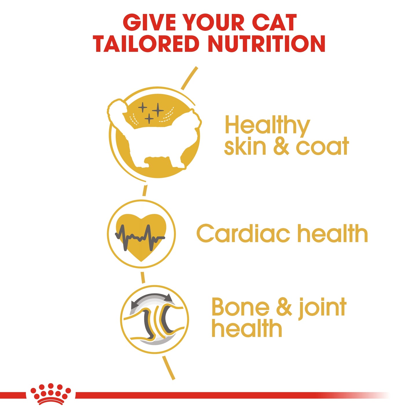 Royal Canin Feline Breed Nutrition Ragdoll Adult Cat Dry food 2kg