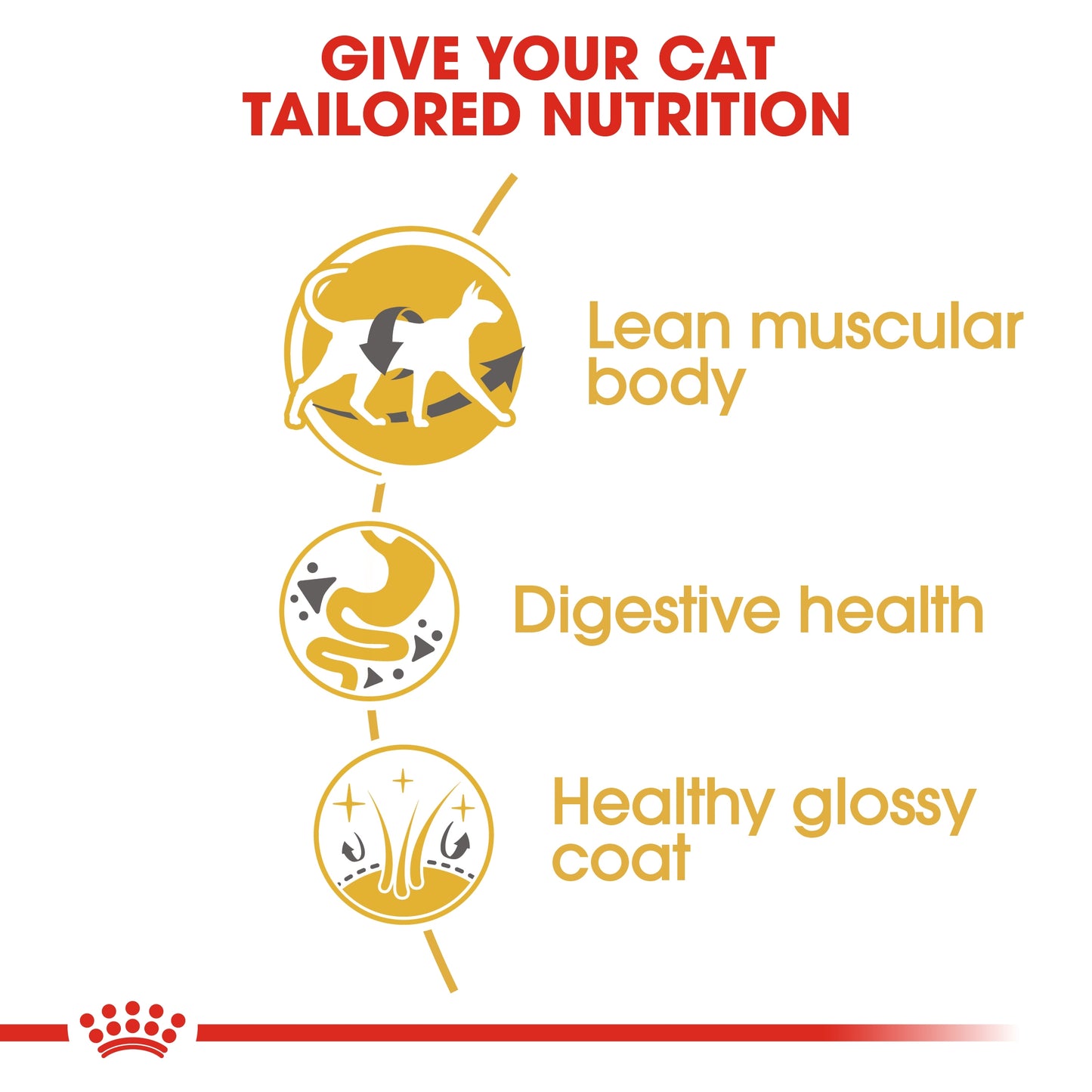 Royal Canin Feline Breed Nutrition Siamese Adult Cat Dry food 2kg