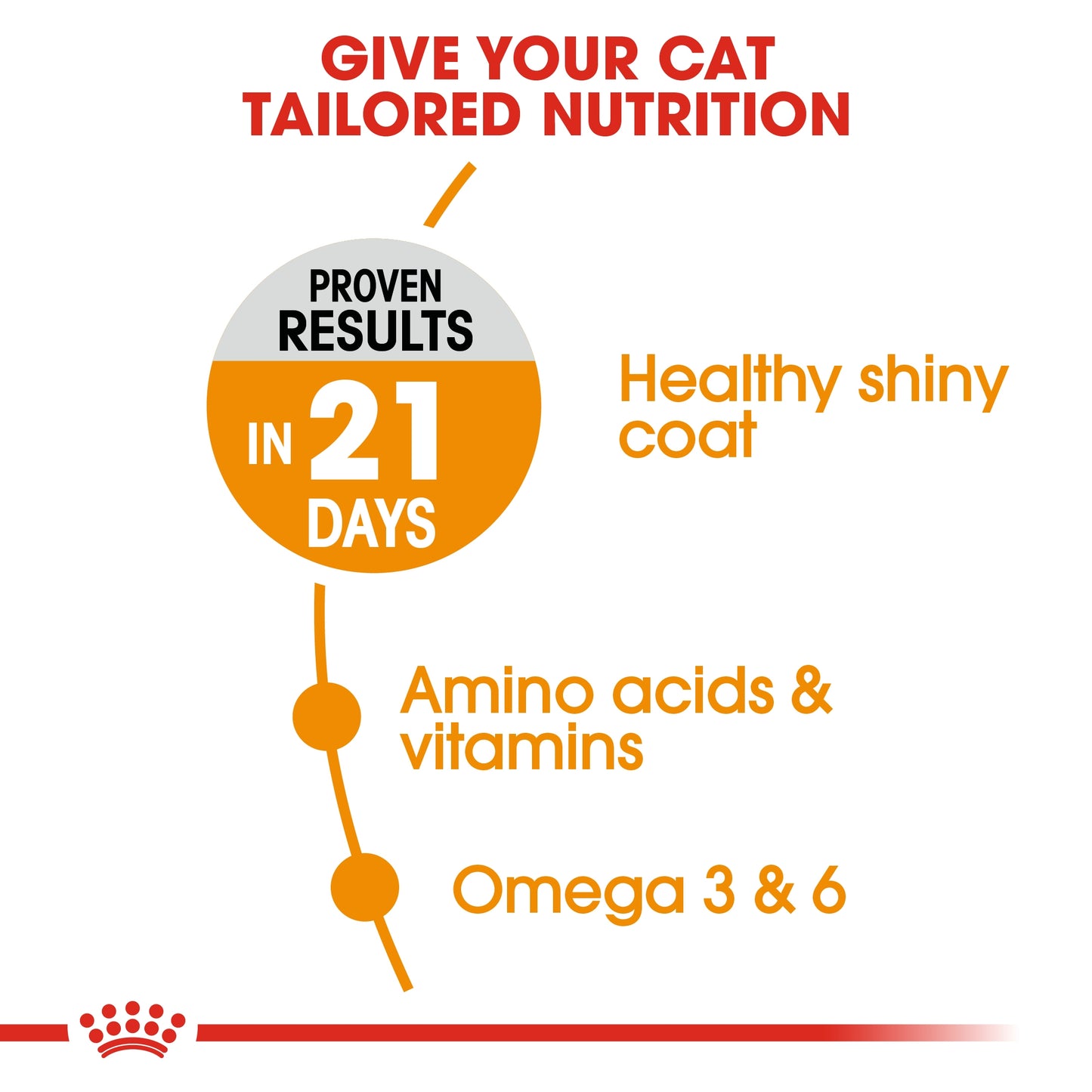 Royal Canin Feline Care Nutrition Hair & Skin Cat Dry food 4kg