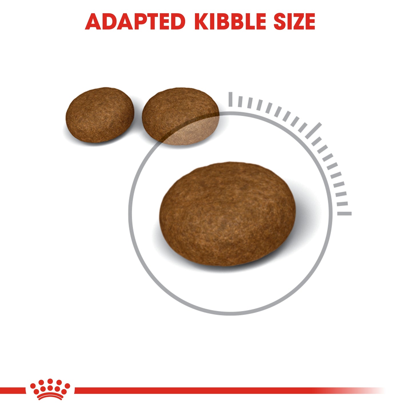 Royal Canin Feline Care Nutrition Hair & Skin Cat Dry food 4kg