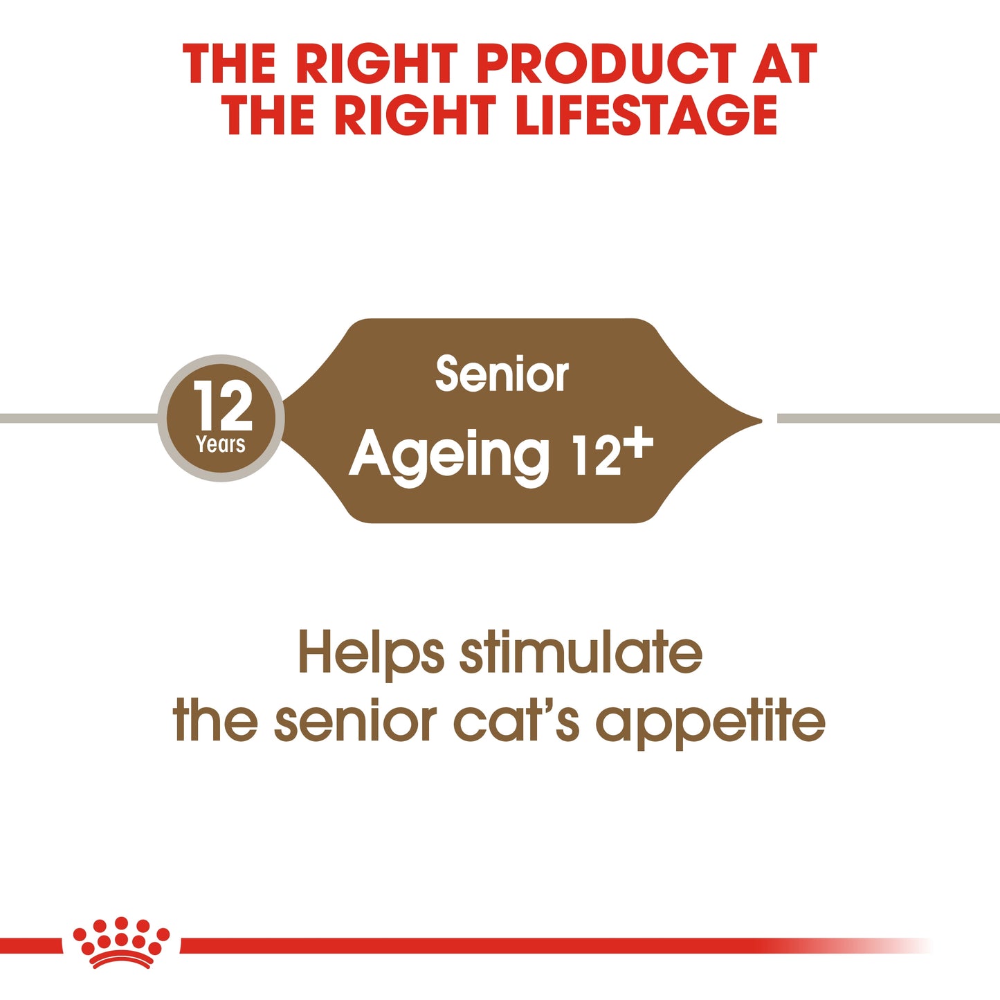 Royal Canin Feline Health Nutrition Ageing 12+ Cat Dry food 2kg