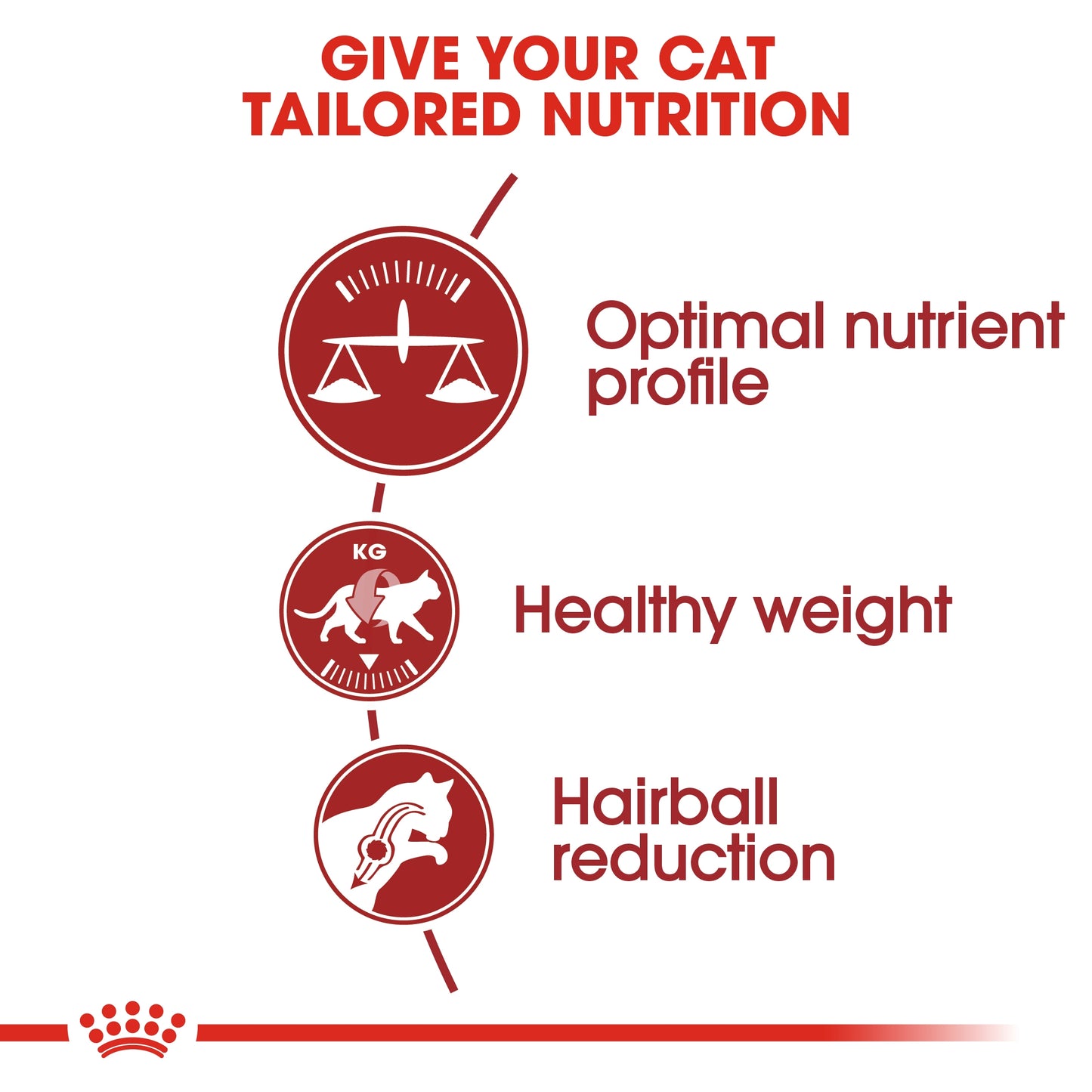 Royal Canin Feline Health Fit 32 Cat Dry food 2kg