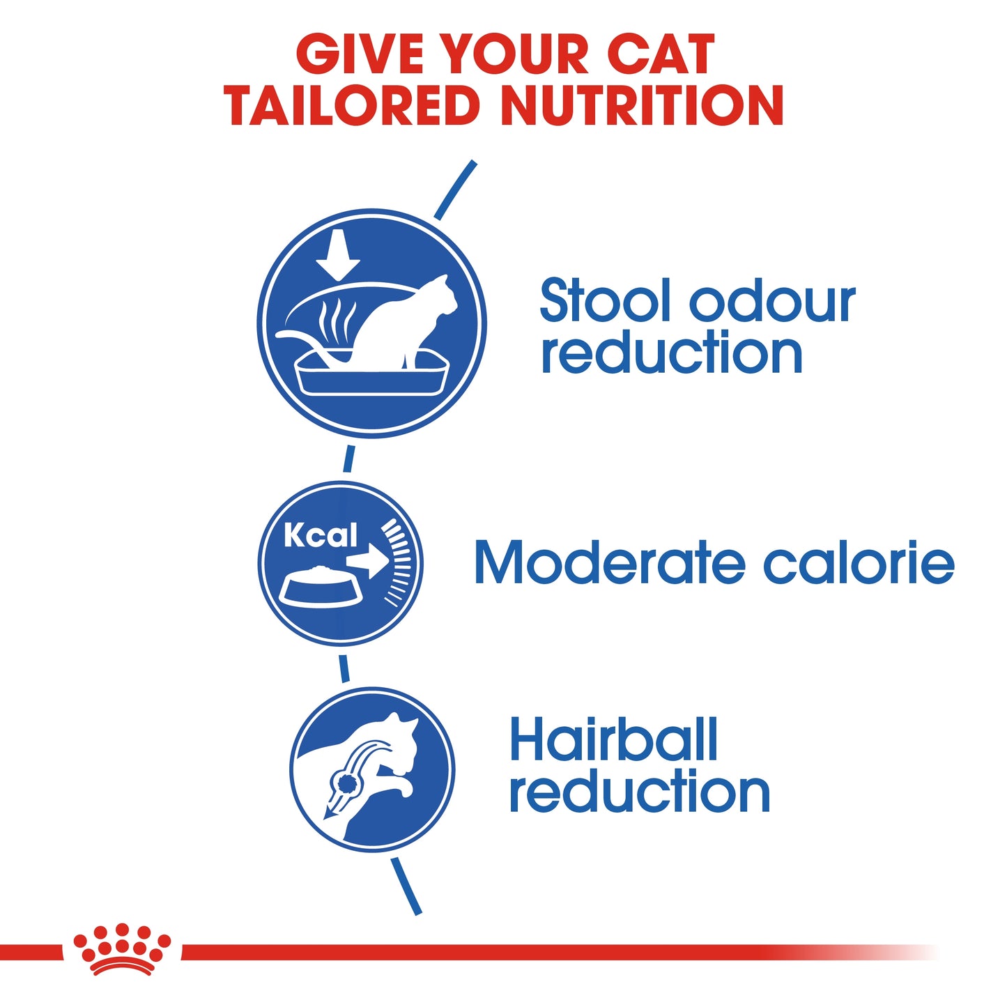 Royal Canin Feline Health Indoor Cat Dry food 400g
