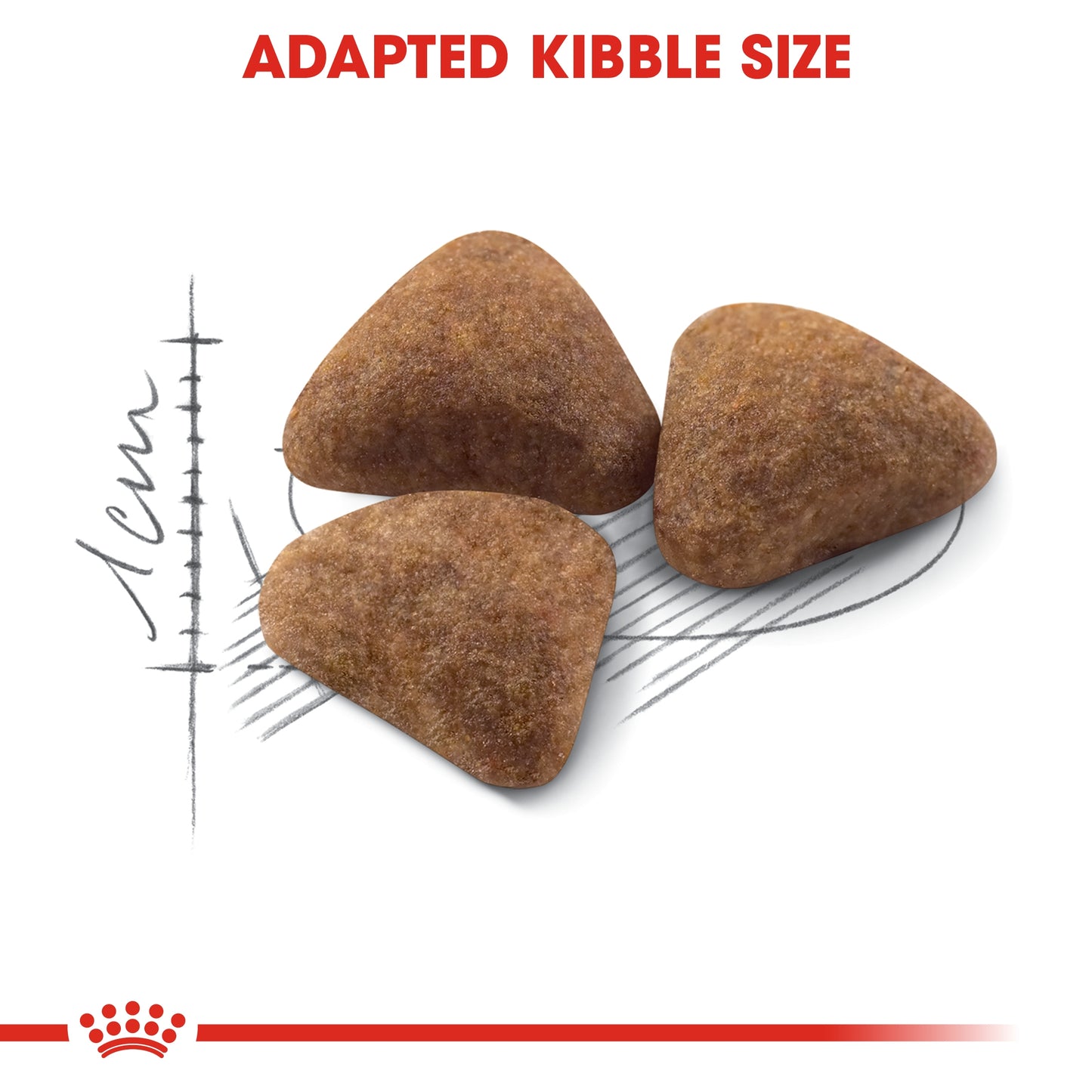 Royal Canin Feline Health Indoor Cat Dry food 400g