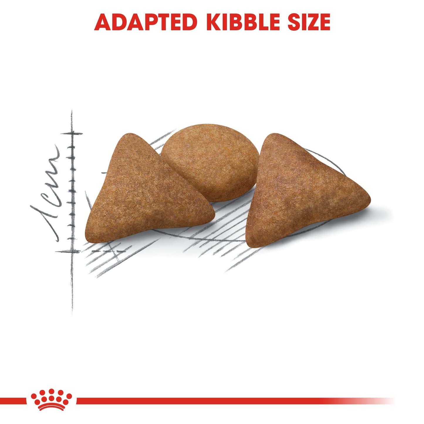 Royal Canin Feline Health Indoor Appetite Control Cat Dry food 2kg