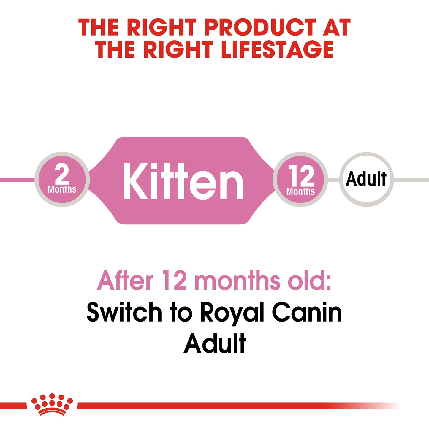 Royal Canin Feline Health Kitten Dry food 10kg