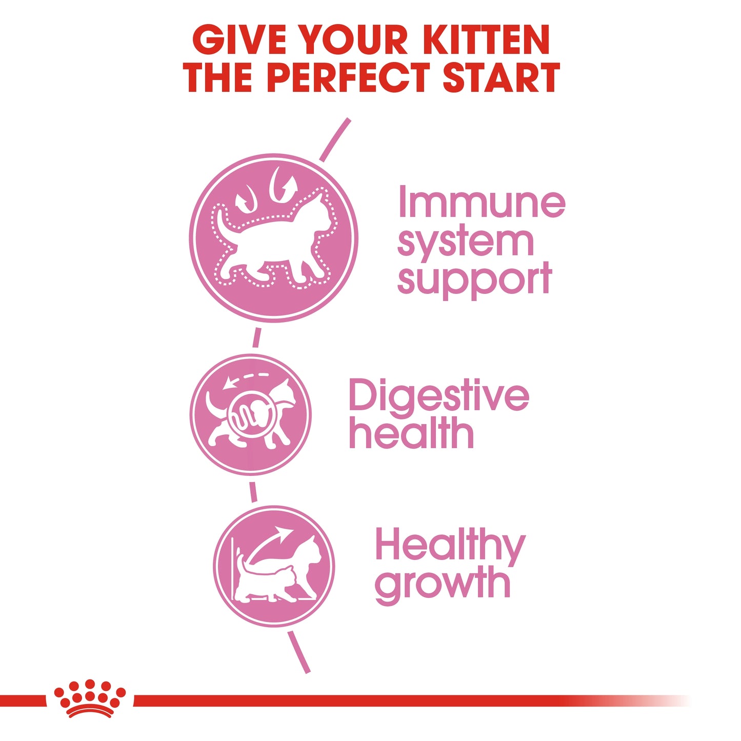 Royal Canin Feline Health Kitten Dry food 10kg