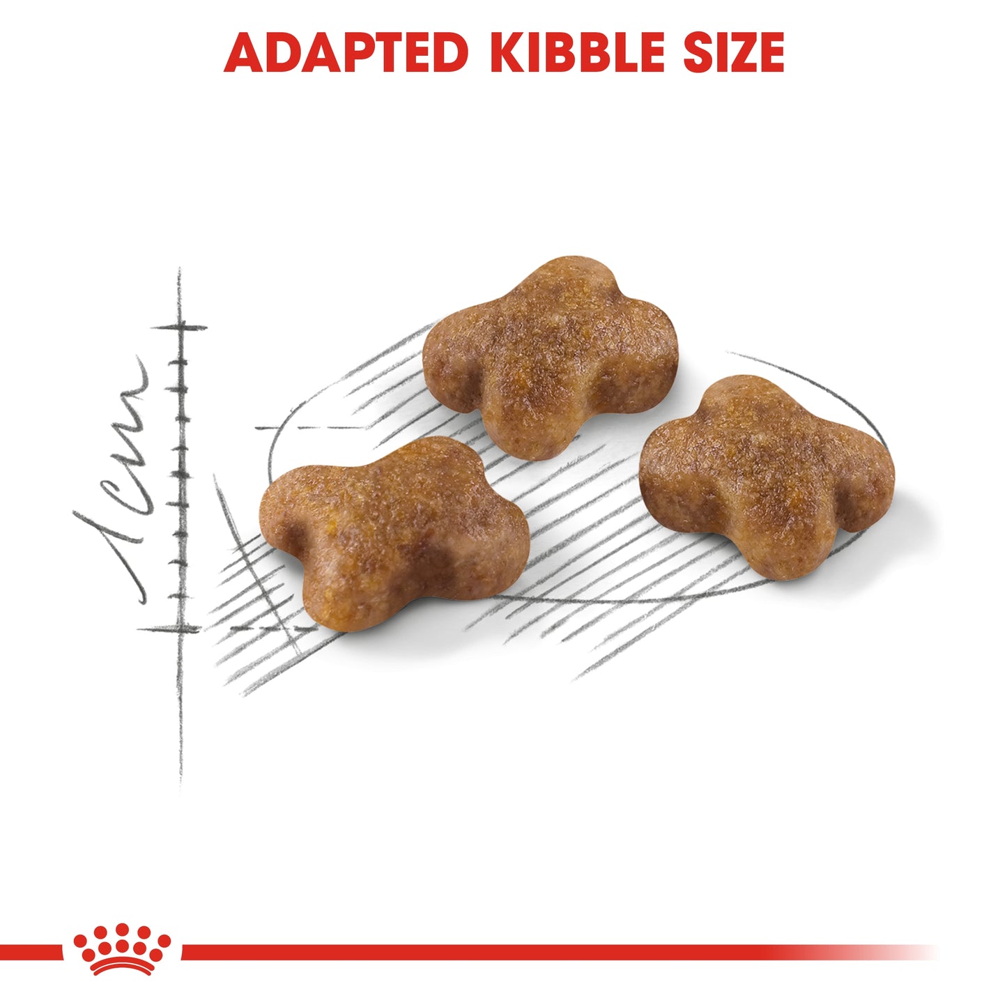 Royal Canin Feline Health Kitten Dry food 10kg