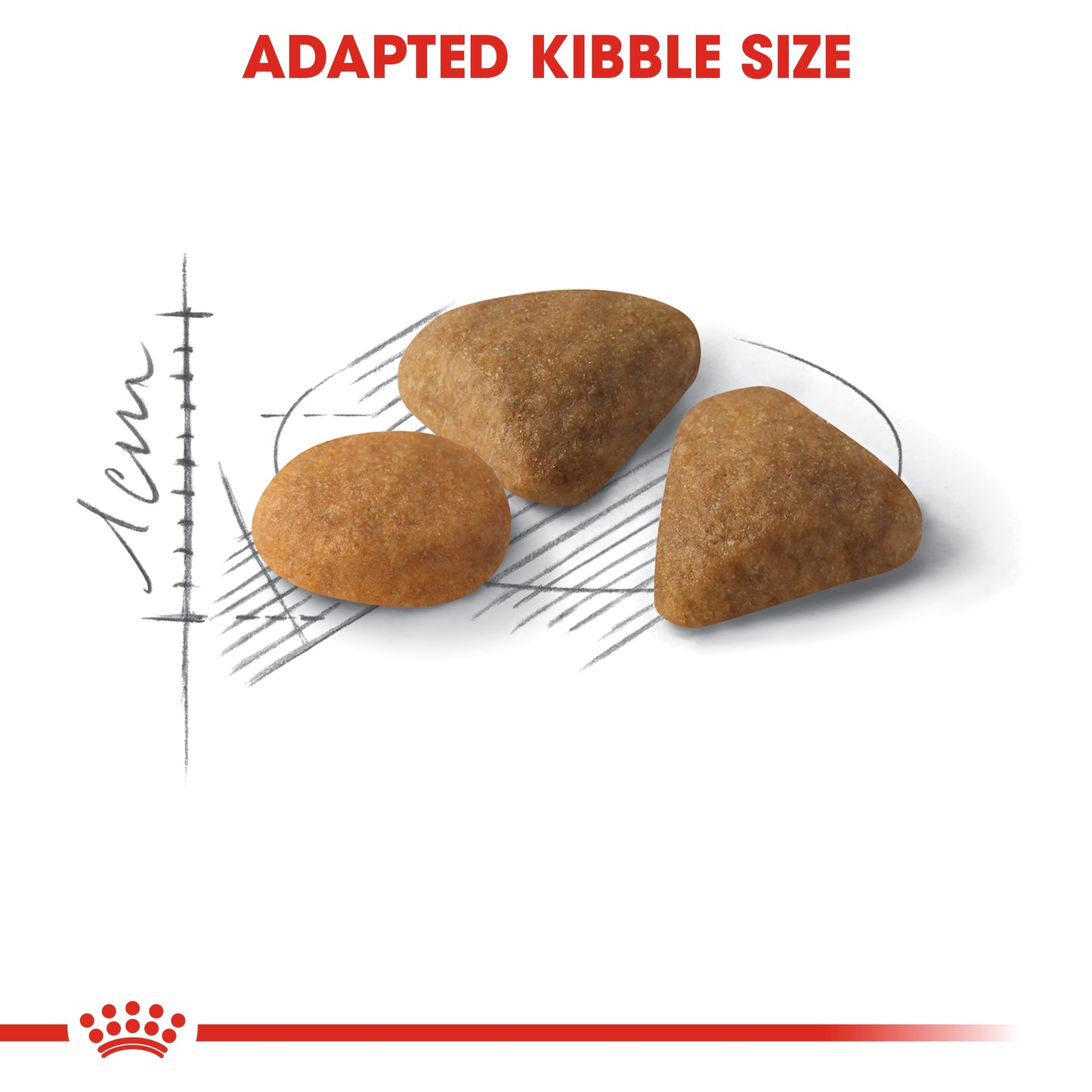 Royal Canin Feline Health Exigent Savour Cat Dry food 2kg