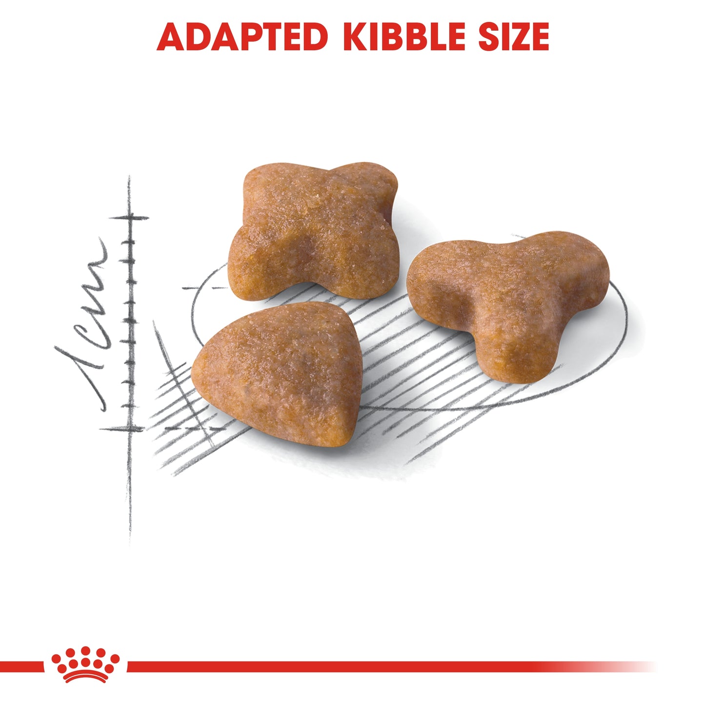 Royal Canin Feline Health Sensible Dry Cat food 2kg