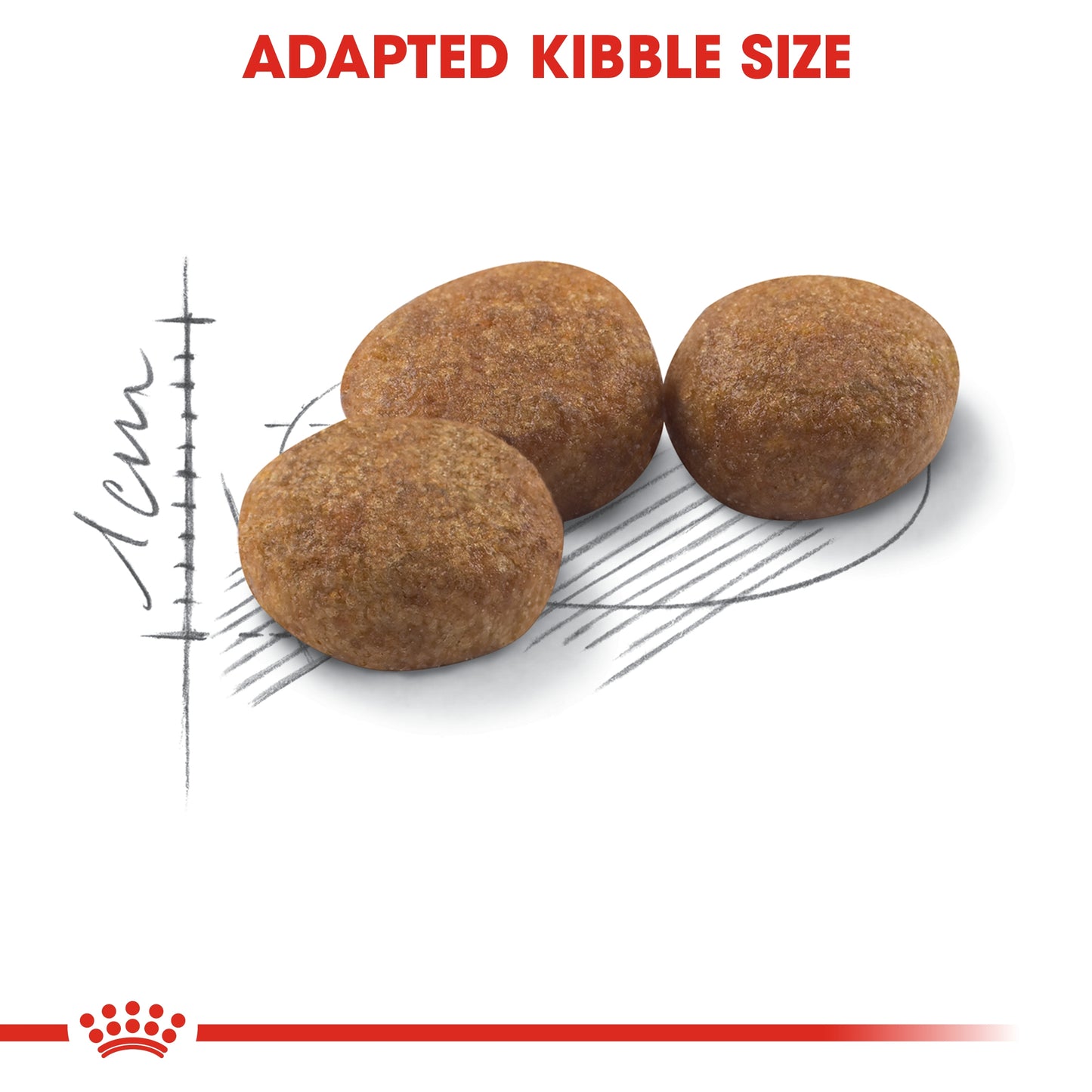 Royal Canin Feline Health Sterilised Dry Cat food 2kg
