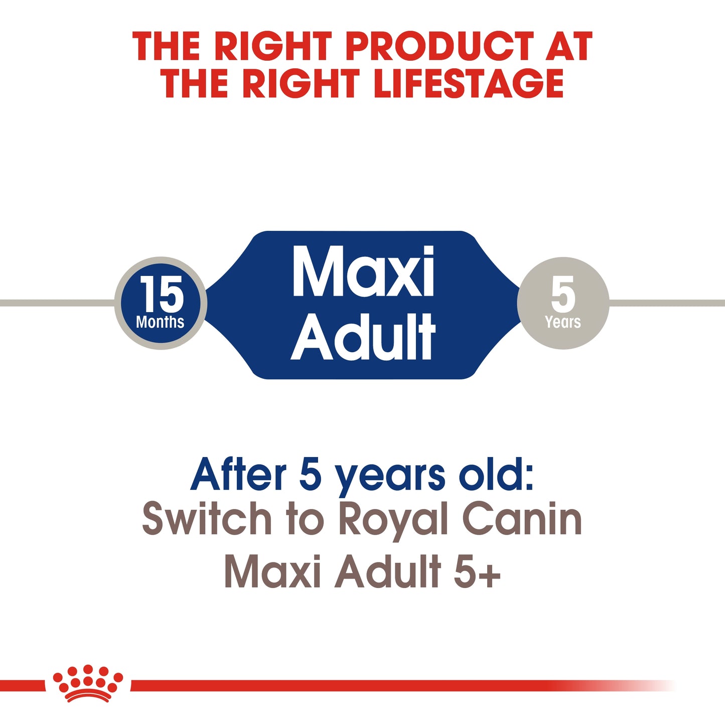 Royal Canin Size Health Maxi Adult Dry Dog food 4kg