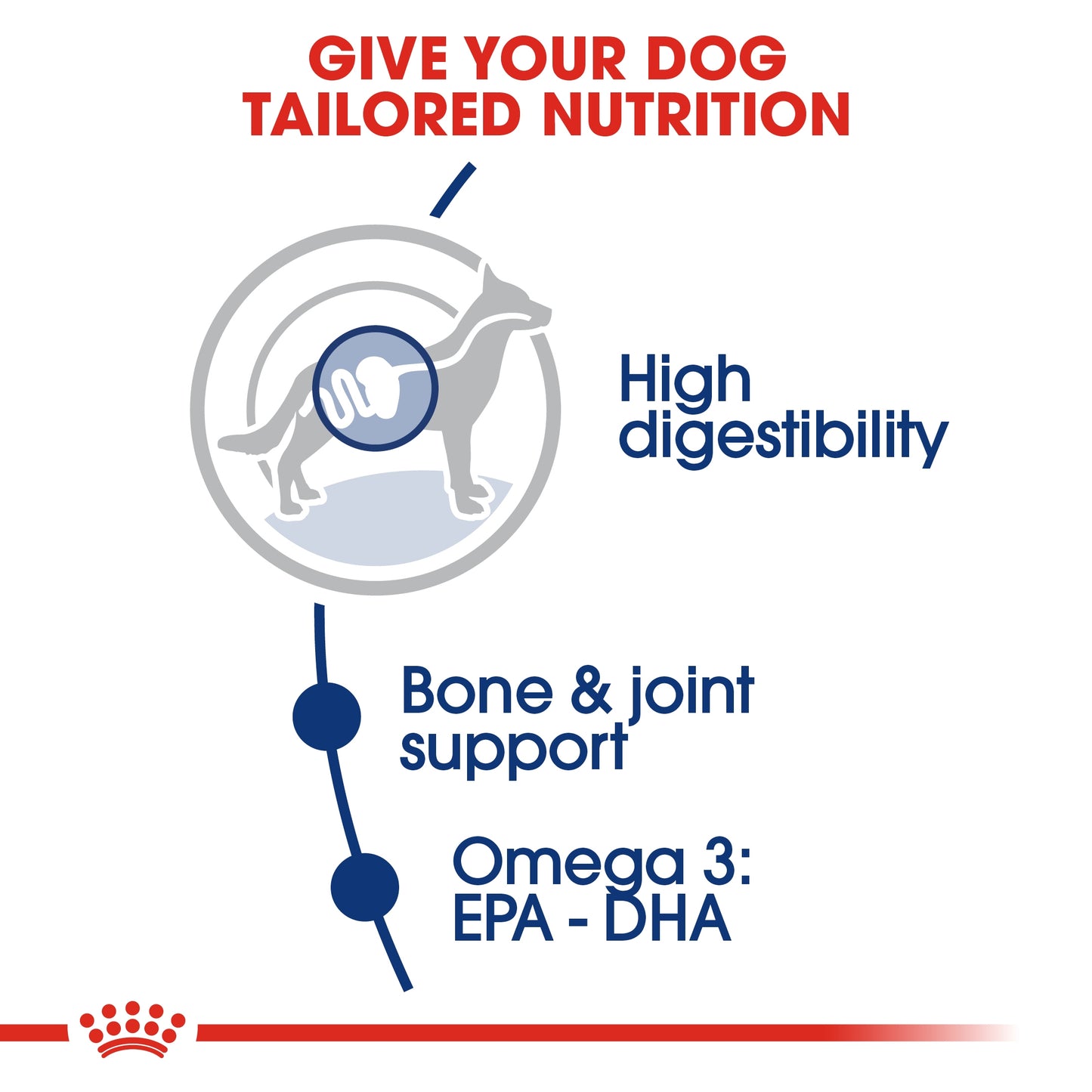 Royal Canin Size Health Maxi Adult Dry Dog food 4kg