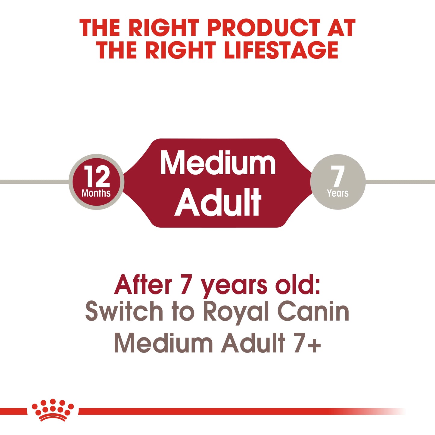 Royal Canin Size Health Medium Adult Dog Dry food 10kg