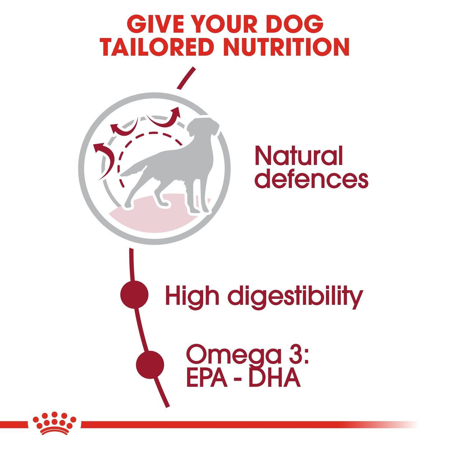 Royal Canin Size Health Medium Adult Dog Dry food 15kg