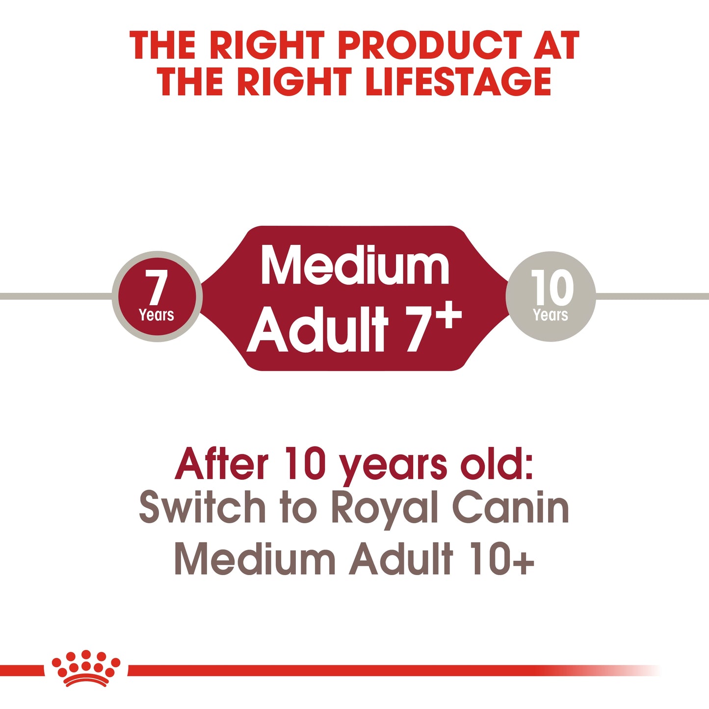 Royal Canin Size Health Medium Adult 7+ Dry Dog food 10kg  Dogs