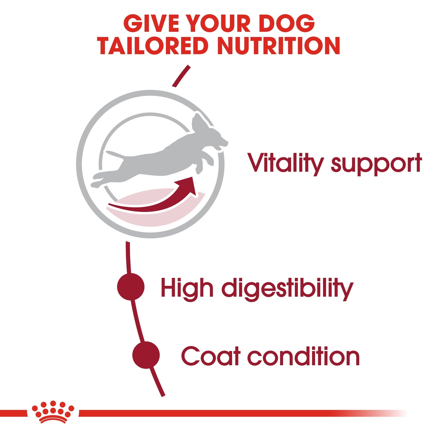 Royal Canin Size Health Medium Adult 7+ Dry Dog food 10kg  Dogs