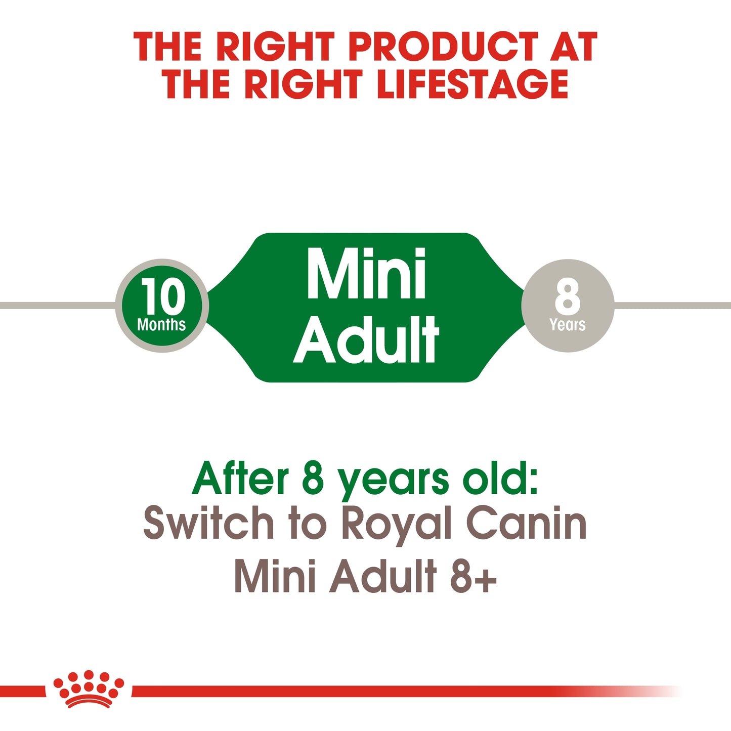 Royal Canin Size Health Mini Adult Dog Dry Food 800g