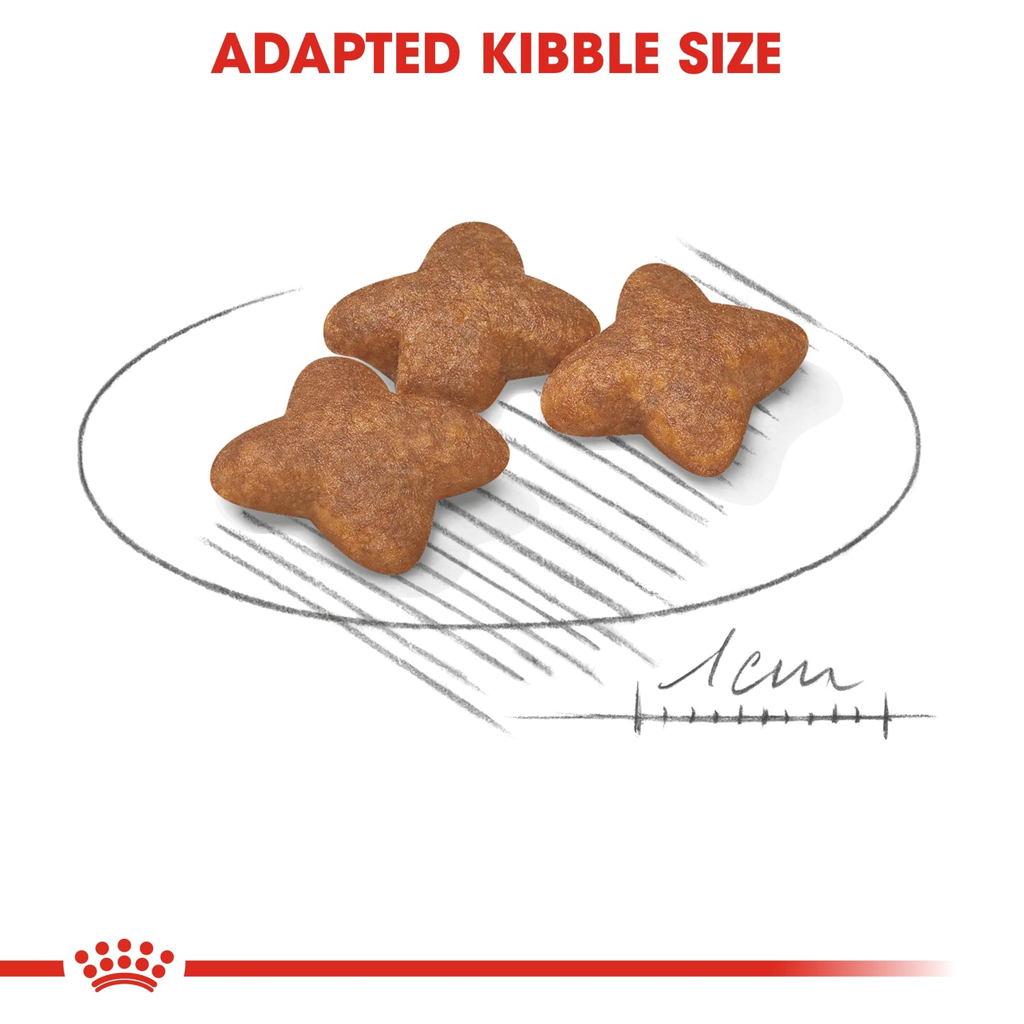 Royal Canin Size Health Mini Adult Dog Dry Food 800g