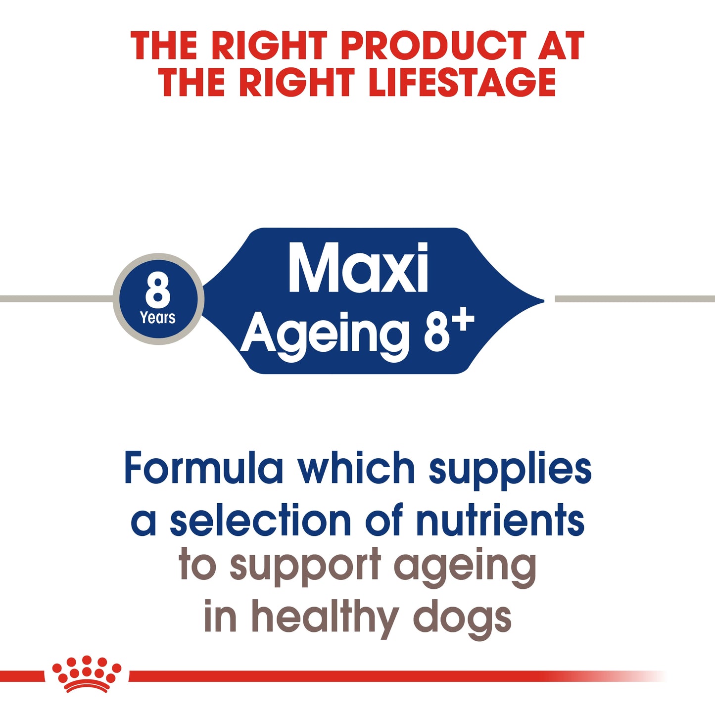Royal Canin Size Health Maxi Ageing 8+ Dry Dog food 15kg
