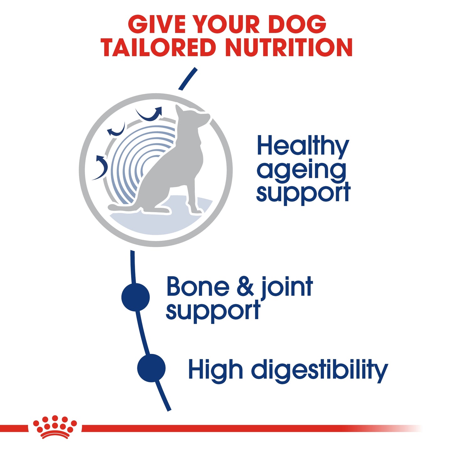Royal Canin Size Health Maxi Ageing 8+ Dry Dog food 15kg
