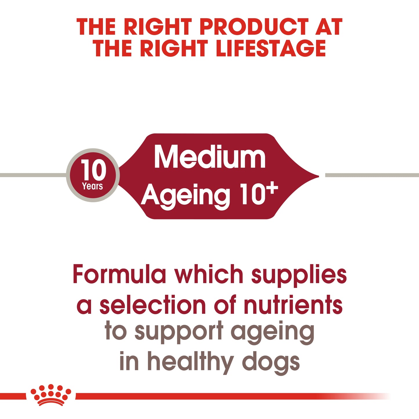 Royal Canin Size Health Medium 10+ Ageing Dry Dog food 3kg
