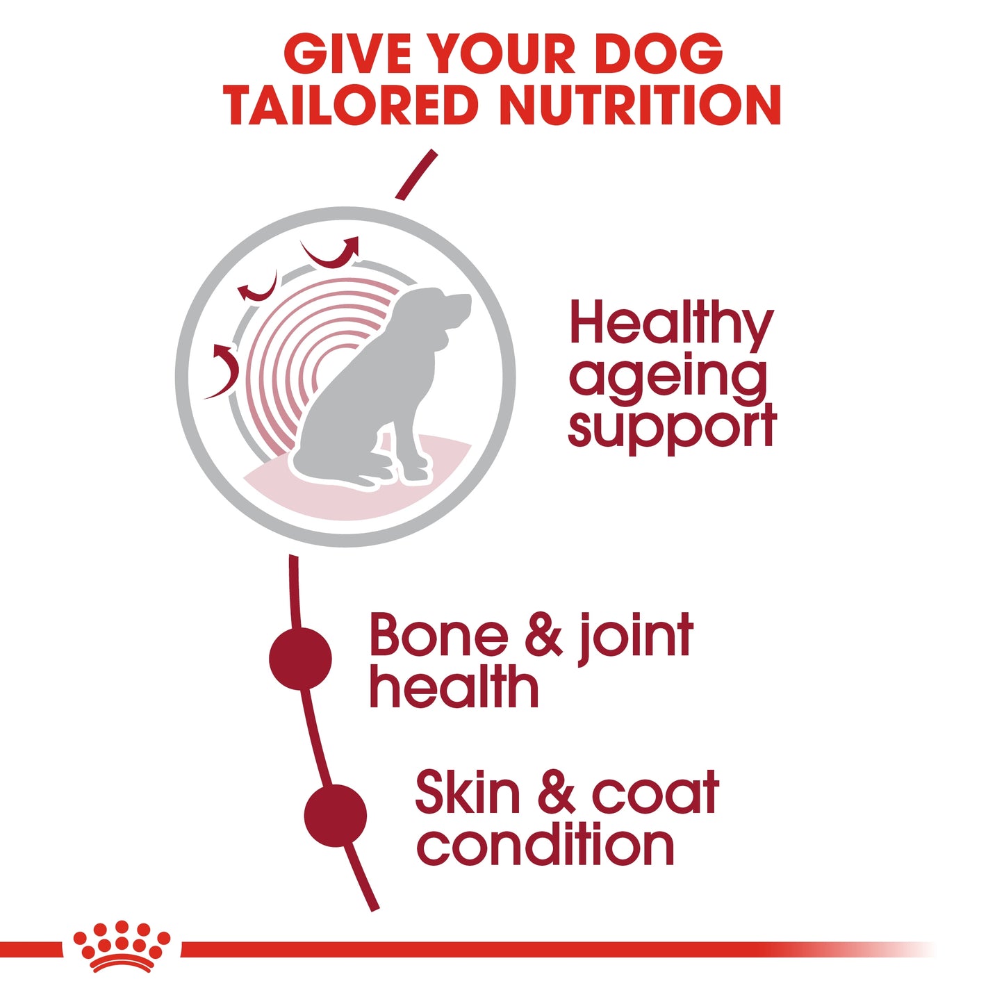 Royal Canin Size Health Medium 10+ Ageing Dry Dog food 3kg
