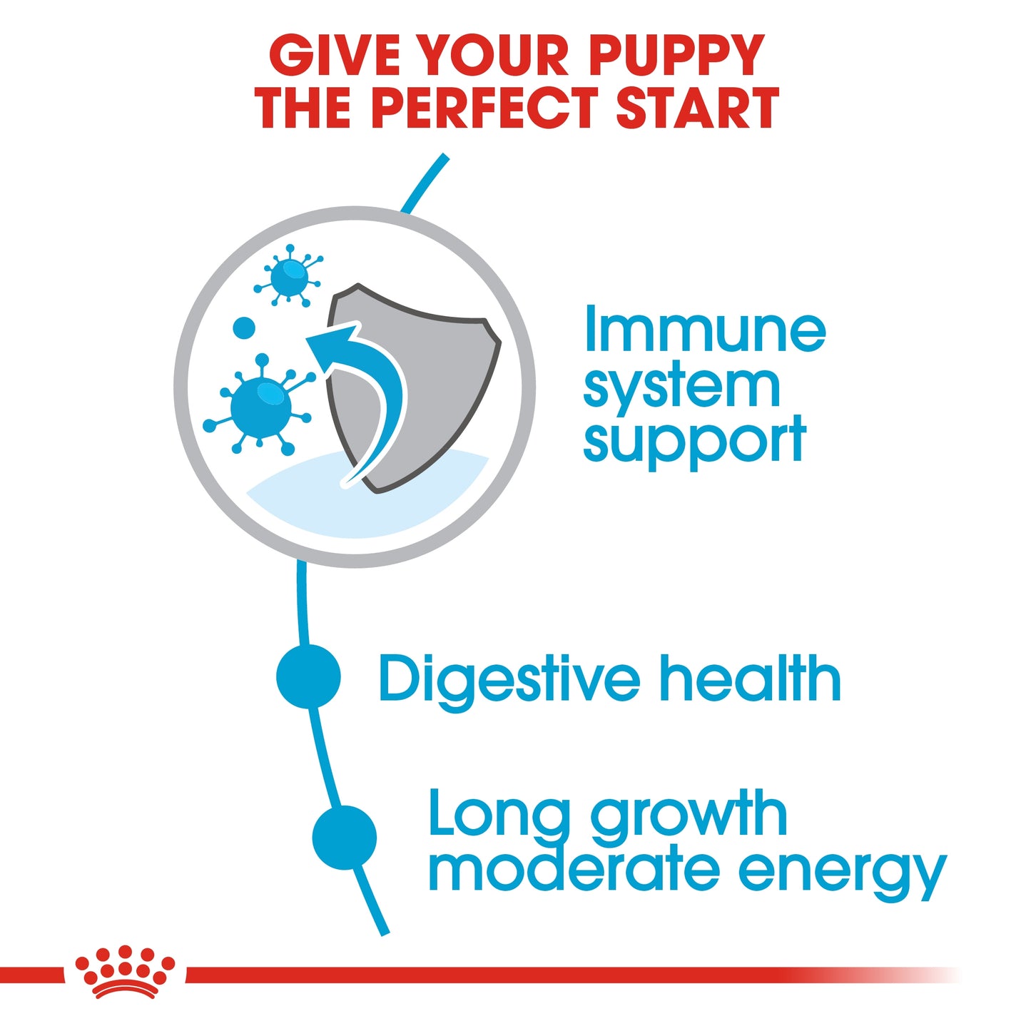 Royal Canin Size Health Maxi Puppy Dry food 4kg